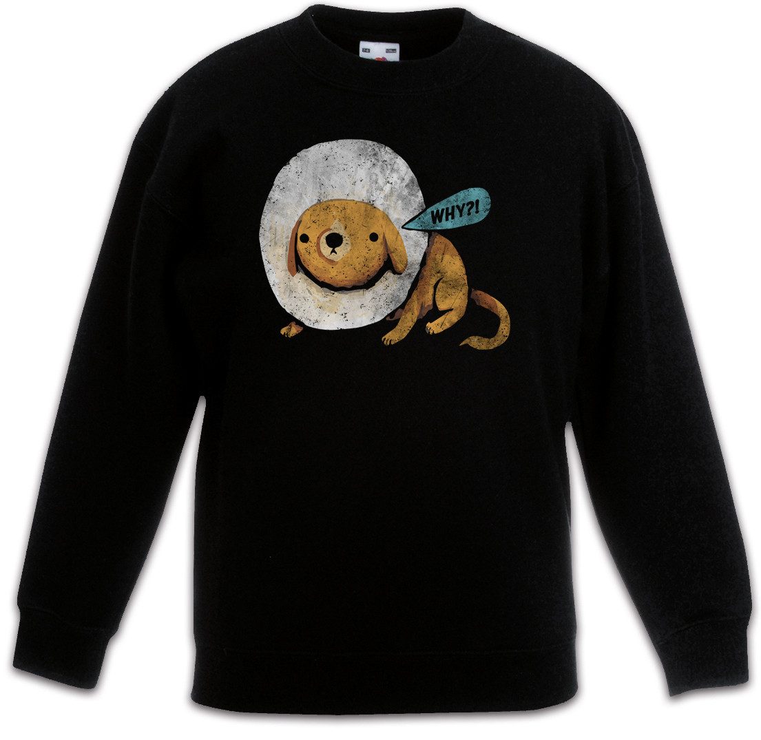 Urban Backwoods Sweatshirt Cone Dog Why Kinderpullover Deutscher Schäferhund Hund Tierarzt Hunde (1-tlg) Dog Dogs Dawg Liebe