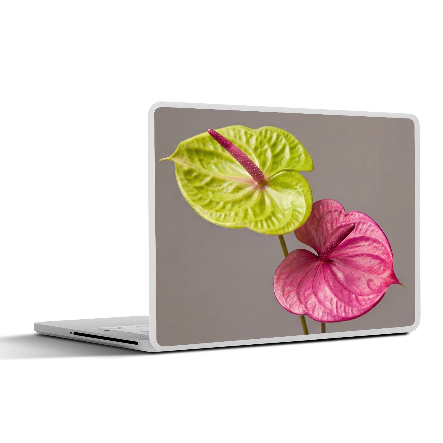 MuchoWow Laptop-Aufkleber Pflanzen - Anthurium - Grün - Rosa, (1tlg), Laptop Folien Cover, Aufkleber, Sticker, Schutz vor Kratzern, 25x18 cm
