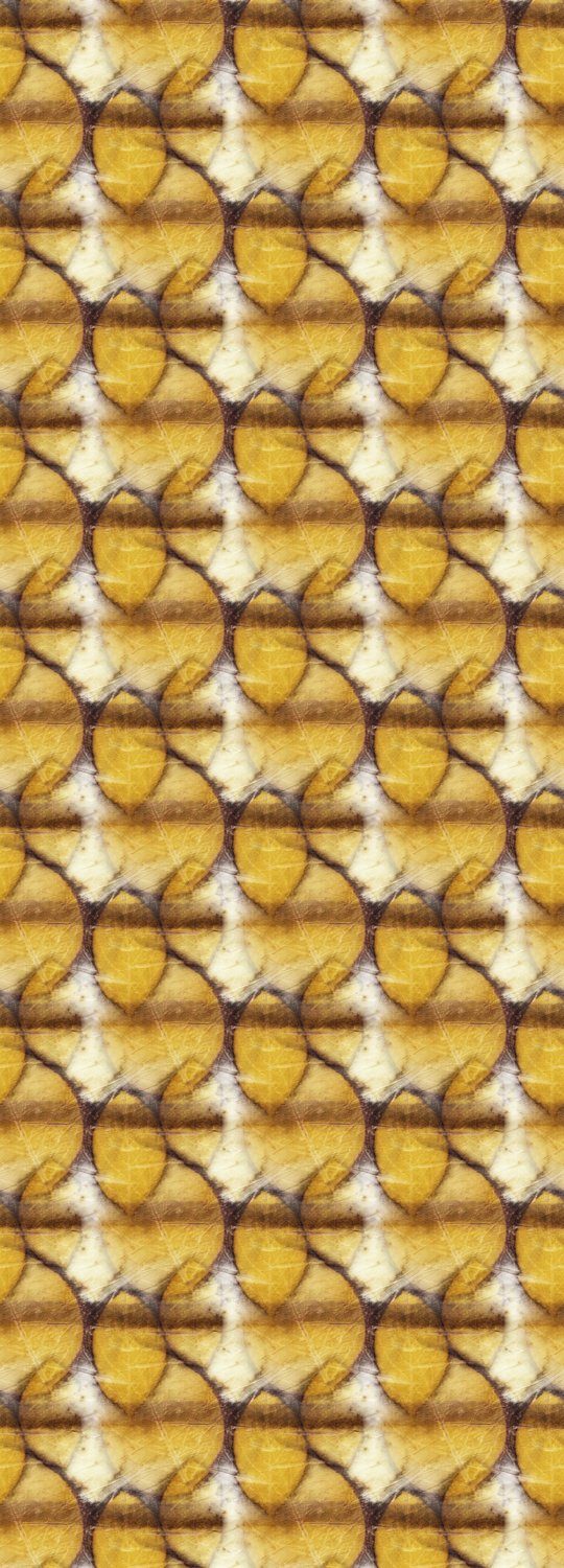 queence Vinyltapete Abstraktes Blättermotiv, glatt, abstrakt, (1 St), Selbstklebende Tapete 90x250cm mit herbstlichem Motiv