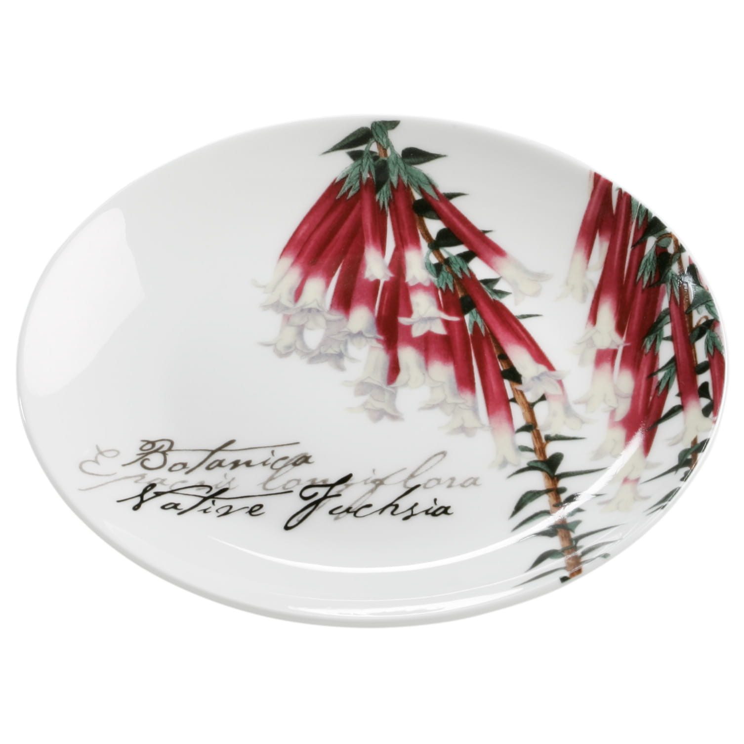 Maxwell & Williams Teller Botanic Teller, Kuchenteller, Frühstücksteller, Teller Fuchsie 15cm, (1 St), Porzellan Bone Essteller für den Tisch, made in Australia