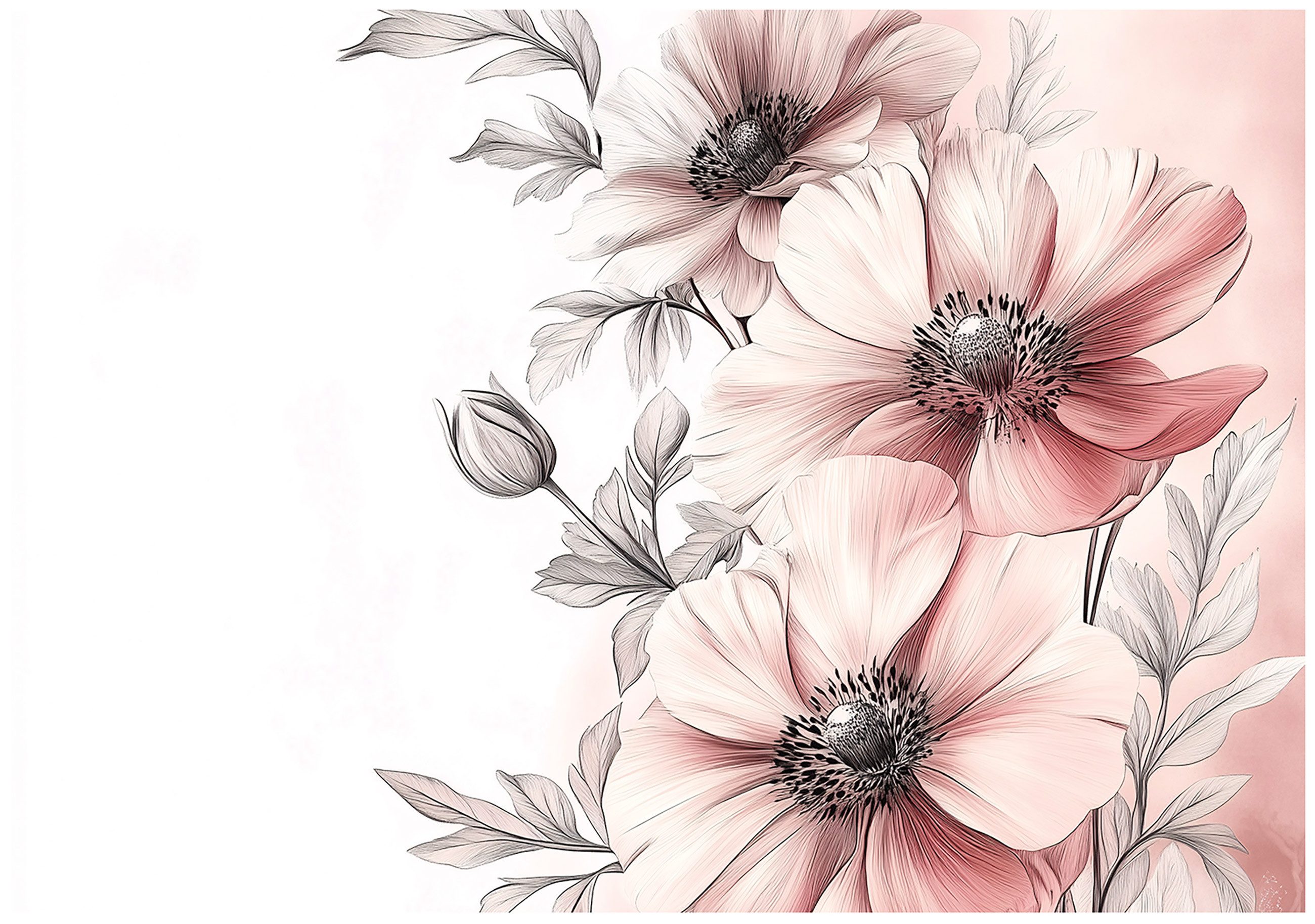 Wallarena Fototapete Blumen Natur Weiß Rosa günstig online kaufen