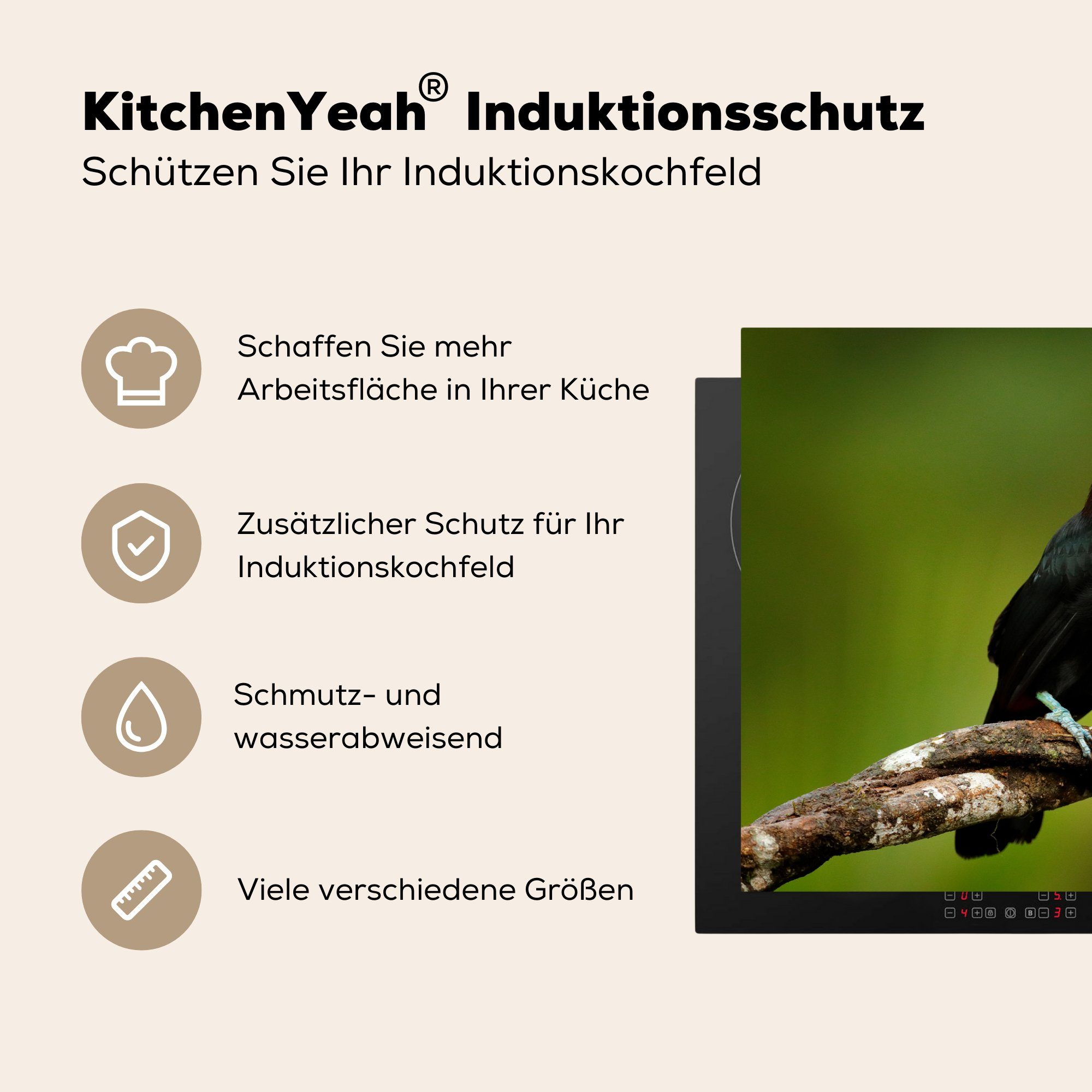 MuchoWow Herdblende-/Abdeckplatte Vogel - Tukan (1 - Vinyl, küche, - Induktionskochfeld - Zweig, Grün Schutz tlg), cm, für die 81x52 Regenbogen Ceranfeldabdeckung