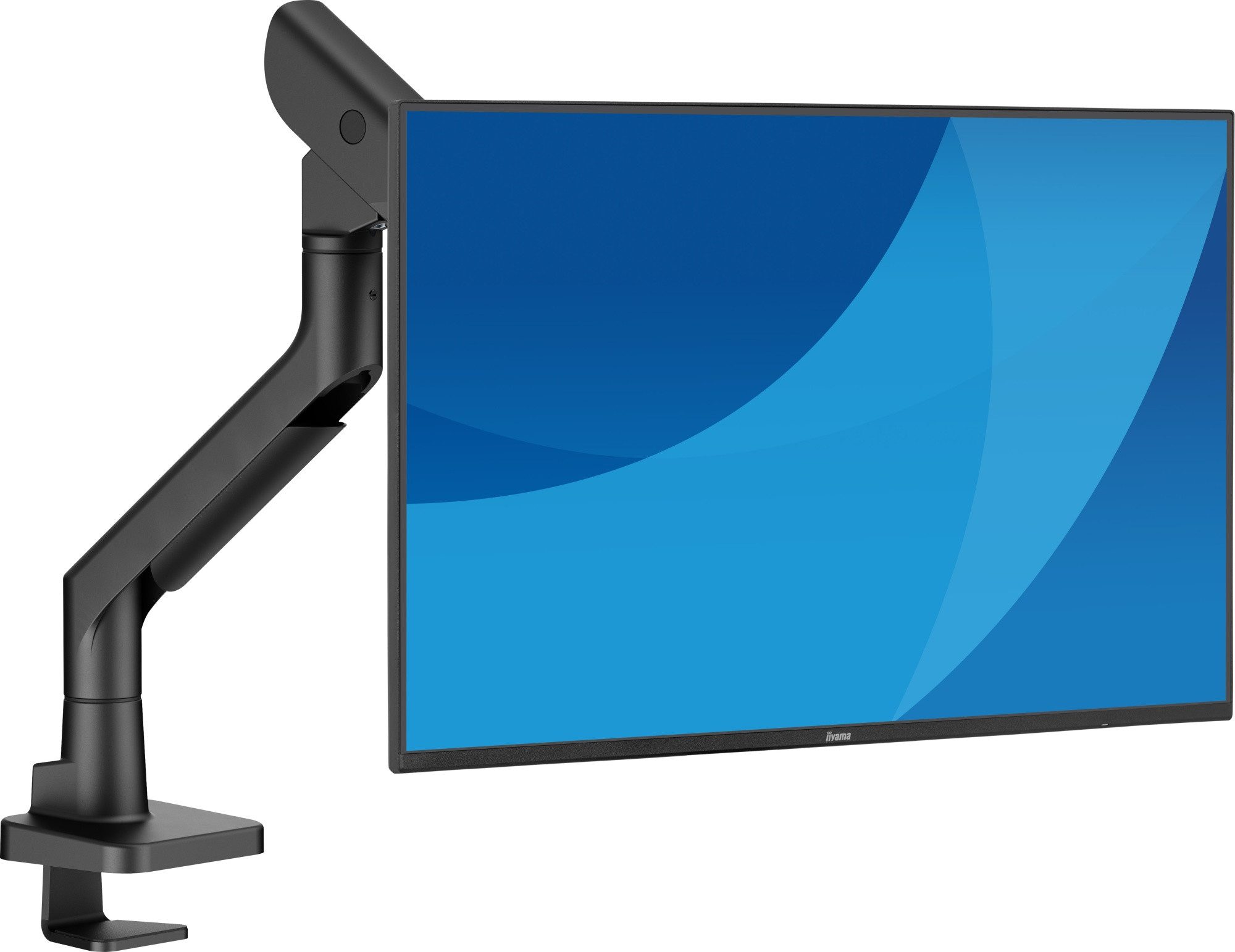 Iiyama Monitor-Halterung DS6001C-B1