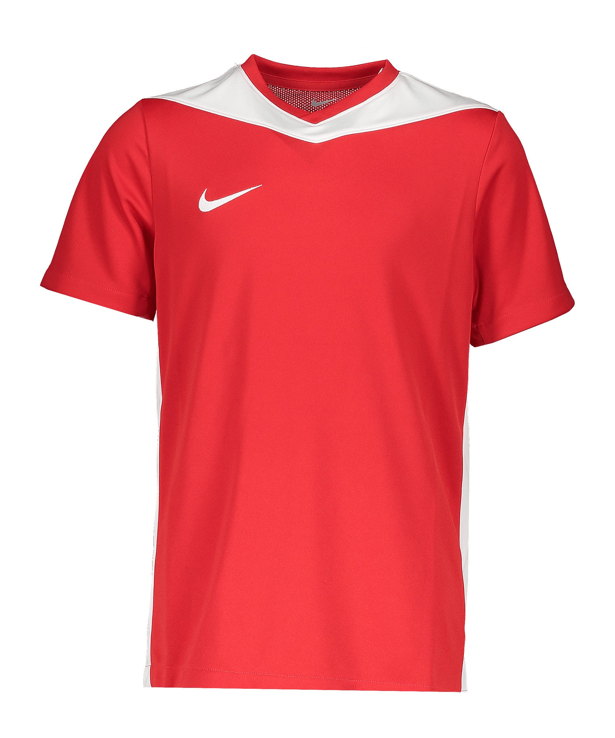 Nike Fußballtrikot Nike Performance Park Derby IV Trikot Kids Teamsport