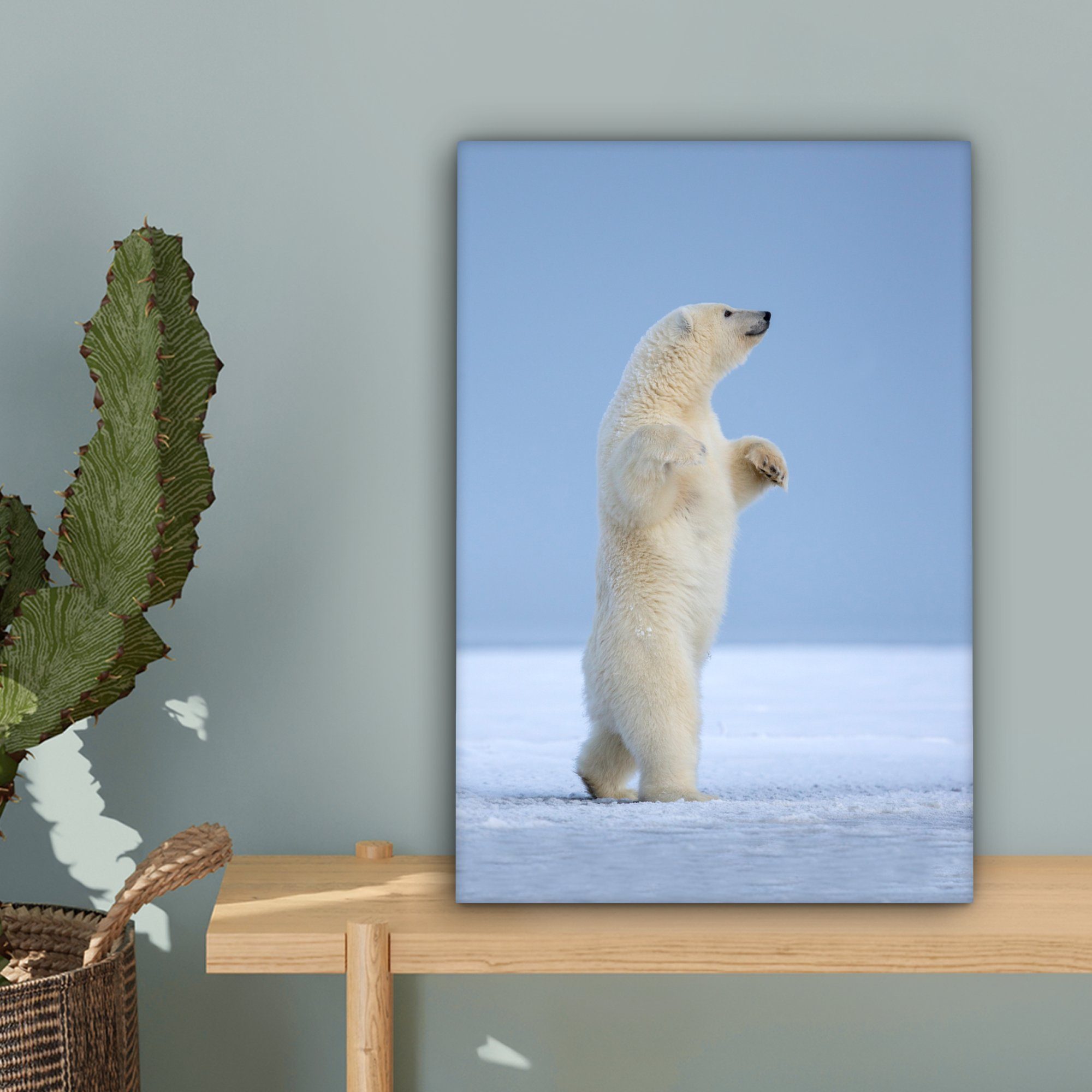 Lustig 20x30 - Gemälde, Kinder Eisbär Mädchen Zackenaufhänger, Leinwandbild OneMillionCanvasses® - Jungen - - - Leinwandbild (1 fertig Kind, - Schnee bespannt inkl. cm St),