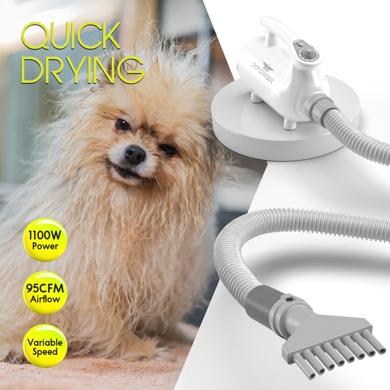 XPOWER Hundeschermaschine B-113 Haushalts Haustier Trimmer Anti-Sheddin Haustier Staubsauger Set, 5 in 1, 2 HEIZSTUFEN, GERÄUSCHARMER BETRIEB, FLEXIBLER SCHLAUCH, Dauerhaft