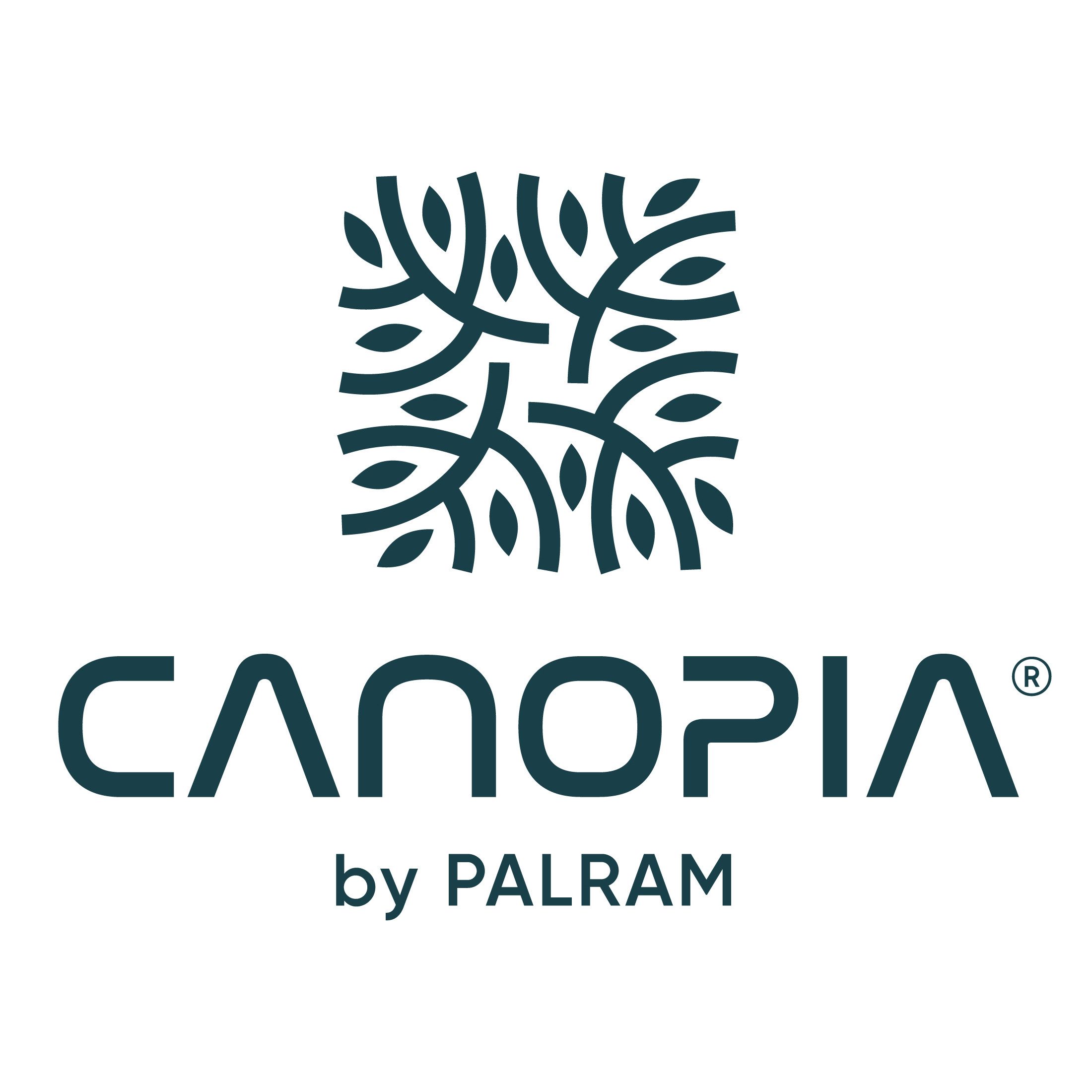 Palram - Canopia Terrassendach-Seitenwand, Alu Anthrazit Paneel Klar, BxH: 319x260/305 cm