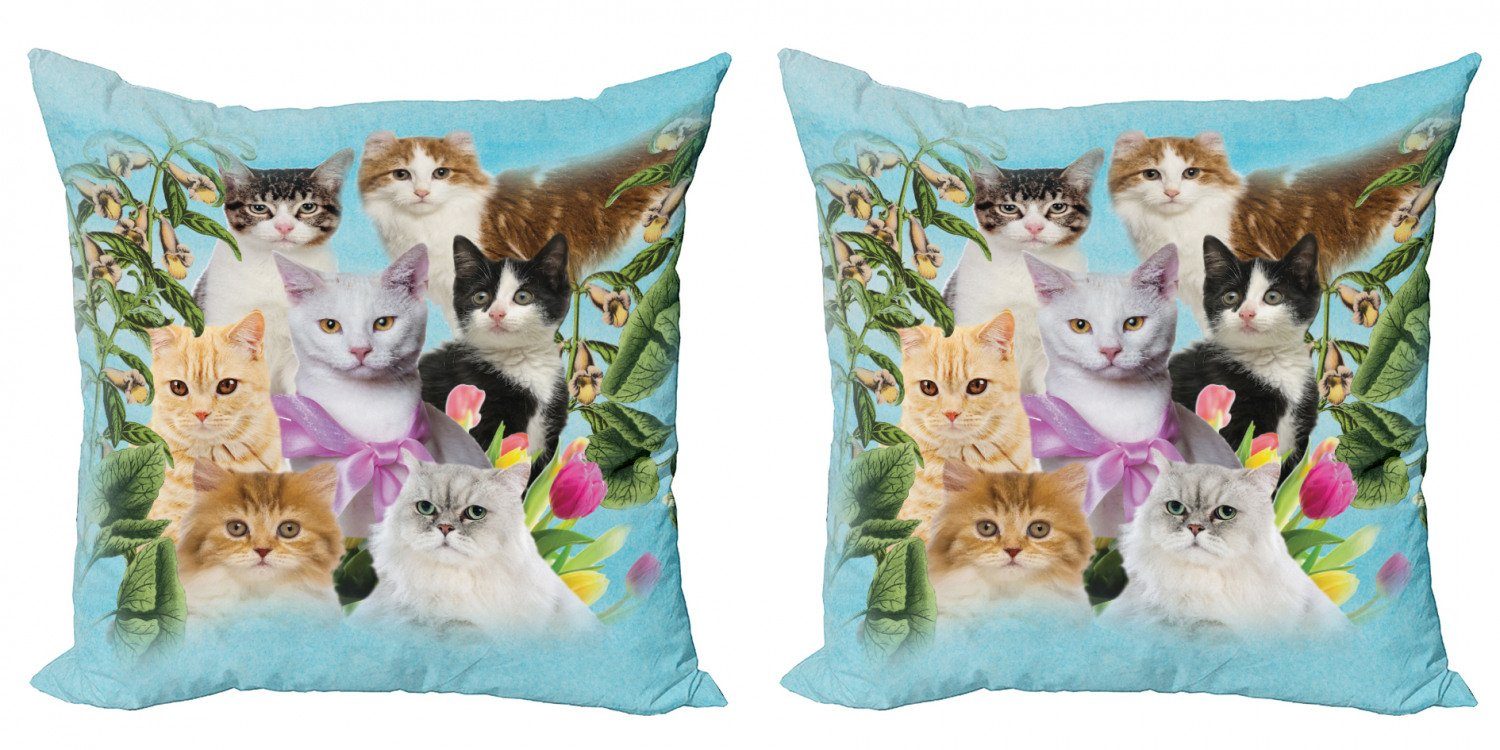 Kissenbezüge Modern Accent Doppelseitiger Digitaldruck, Abakuhaus (2 Stück), Katzenliebhaber Katzen Katzenartige Haus