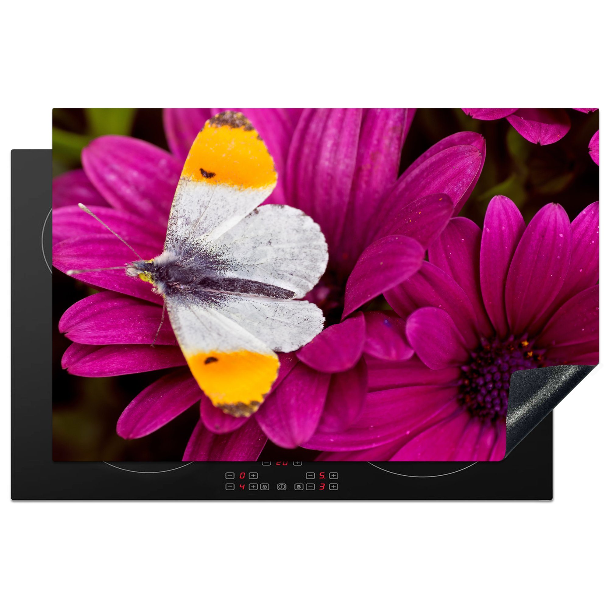 MuchoWow Herdblende-/Abdeckplatte Schmetterling mit orangefarbener Spitze auf einer rosa Blüte, Vinyl, (1 tlg), 81x52 cm, Induktionskochfeld Schutz für die küche, Ceranfeldabdeckung
