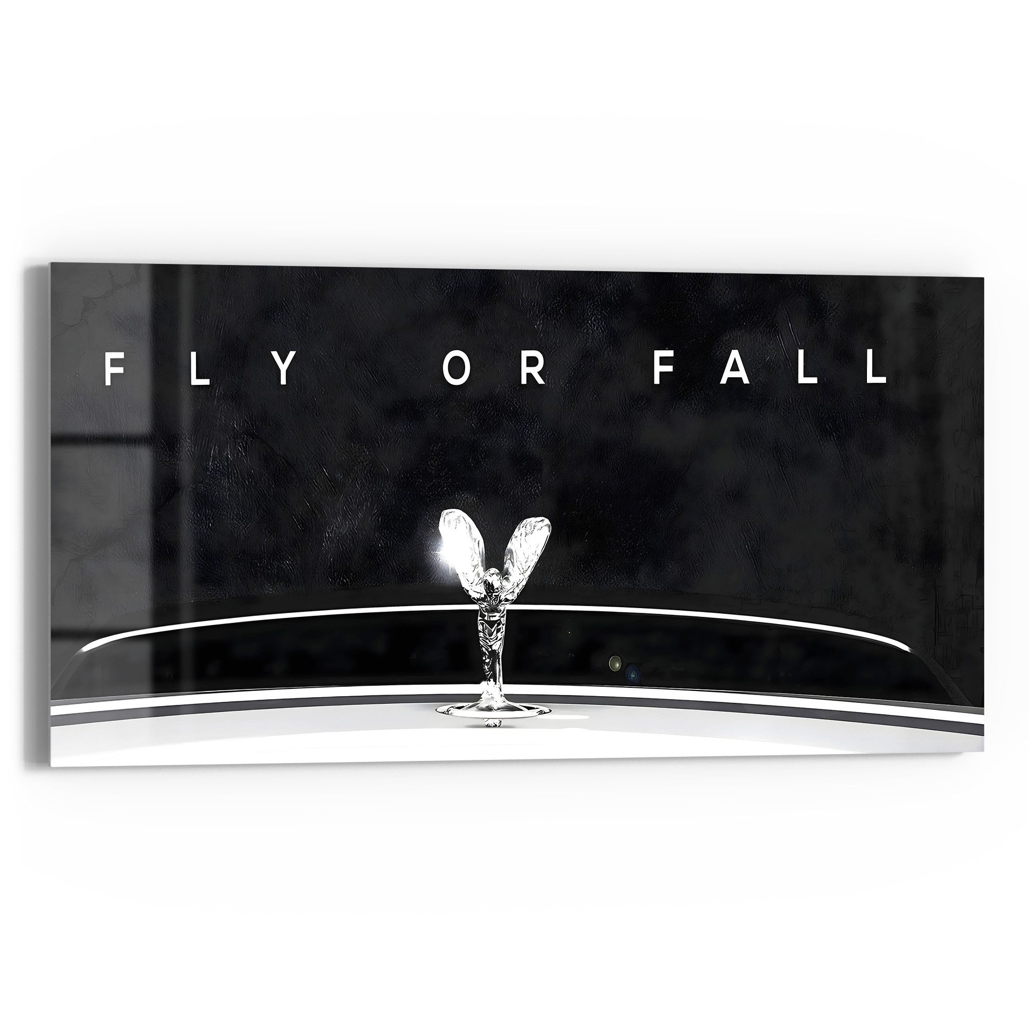 DEQOART Glasbild 'Flug der Exzellenz', 'Flug der Exzellenz', Glas Wandbild Bild schwebend modern