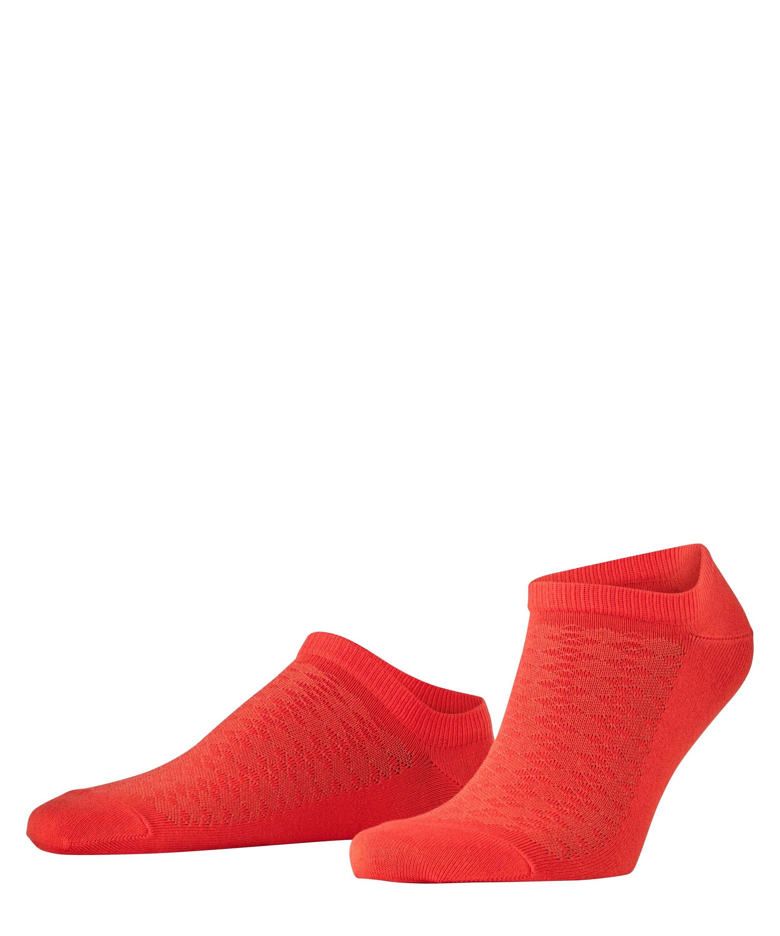tangerine (8092)