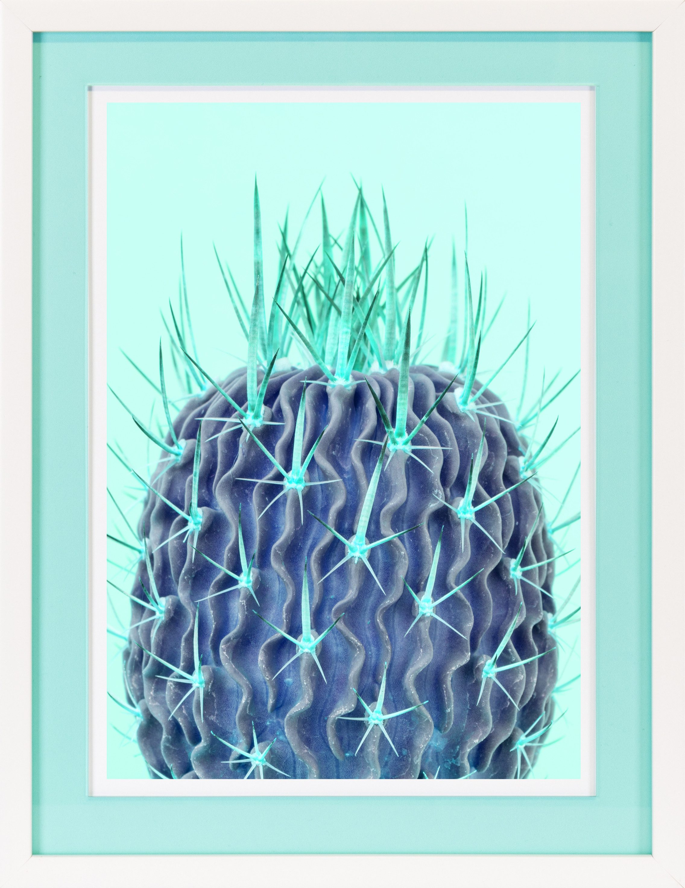 queence Bild mit Rahmen Kaktus, türkis, Pflanzen, Pflanzenbilder (1 St), Poster mit buntem Acrylglas Passepartout