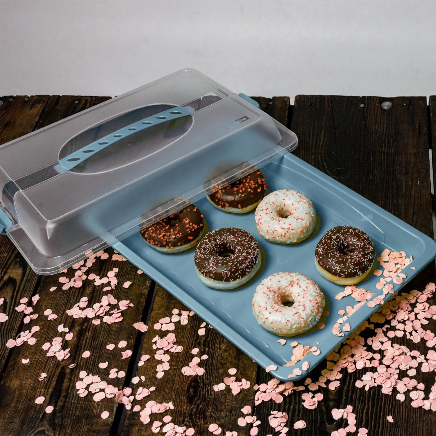 ROTHO Kuchentransportbox Partybutler Medium John horizon blue blau Kuchen Pizza Muffin Box, Kunststoff – Bild 4 von 4