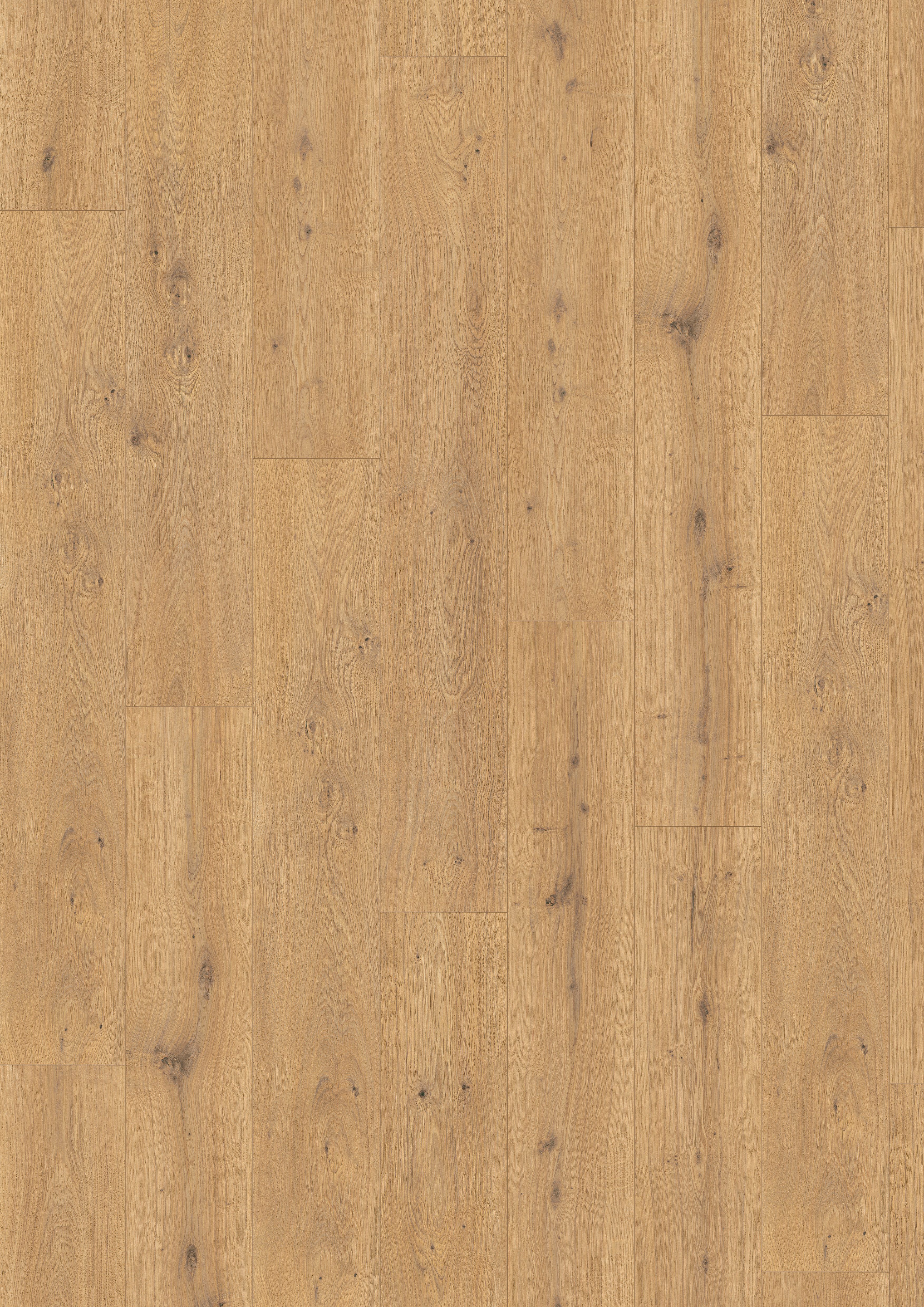 EGGER Laminat NatureSense Aqua EL2009 10mm Predaia Eiche honig, (10mm, 1,746qm), Wasserbeständig & Praktisch