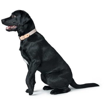 Hunter Tierbedarf Hunde-Halsband Trino, Leder/Baumwollgurt