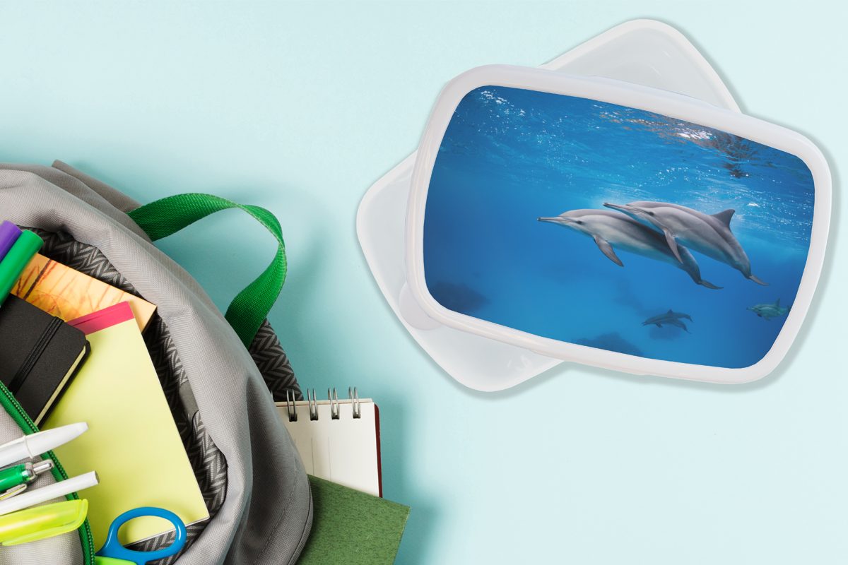 MuchoWow Lunchbox Delfin weiß - Erwachsene, Jungs Kunststoff, für für - Mädchen und (2-tlg), Brotdose, Ägypten, Kinder Brotbox Meer und