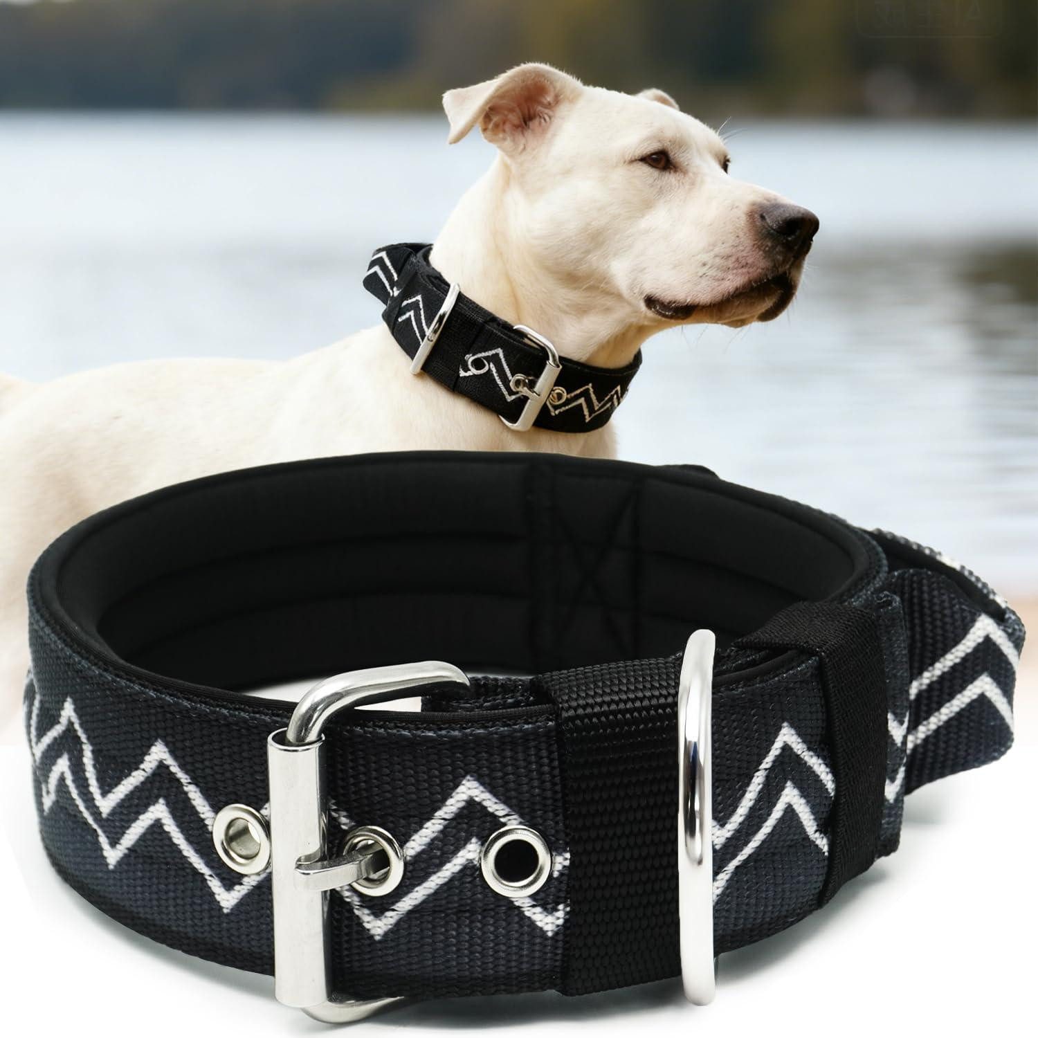 LuxusKollektion Hunde-Halsband Hundehalsband Große Hunde Kohlenstoffschwarz