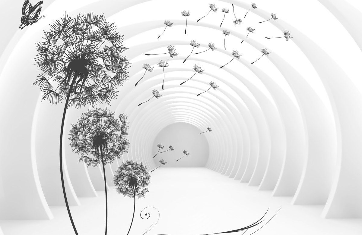 Papermoon Fototapete Pusteblumen