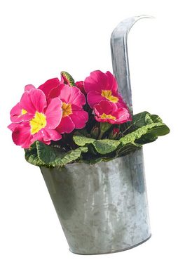 Spetebo Kräutertopf Zink Blumentopf zum Einhängen Ø 13 cm - 6er Set (6er Set, 6 St., Pflanztöpfe), Balkon Hängetopf mit Haken