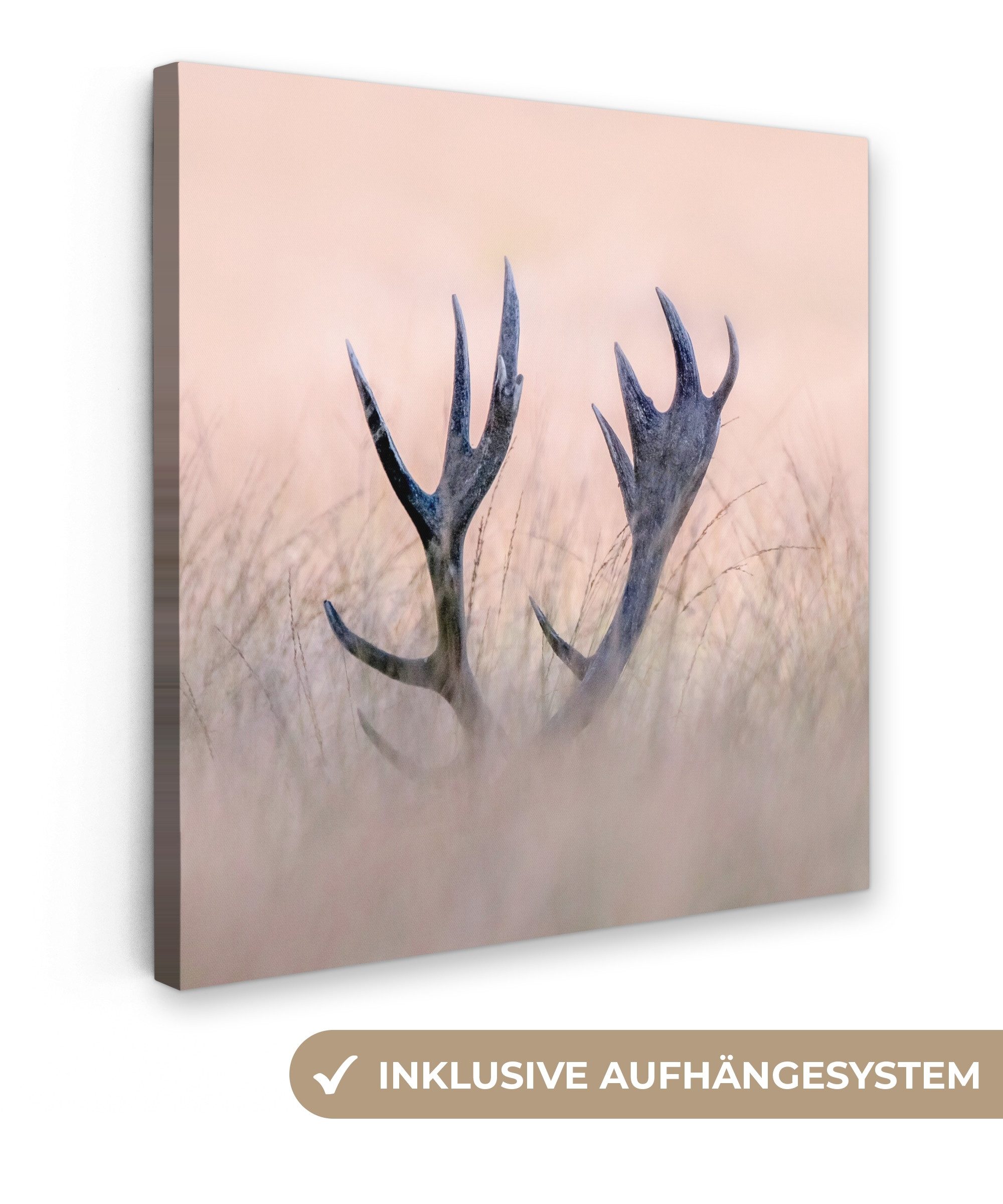 OneMillionCanvasses® Leinwandbild Geweih - Hirsch - Gras - Natur, Fotodruck günstig online kaufen