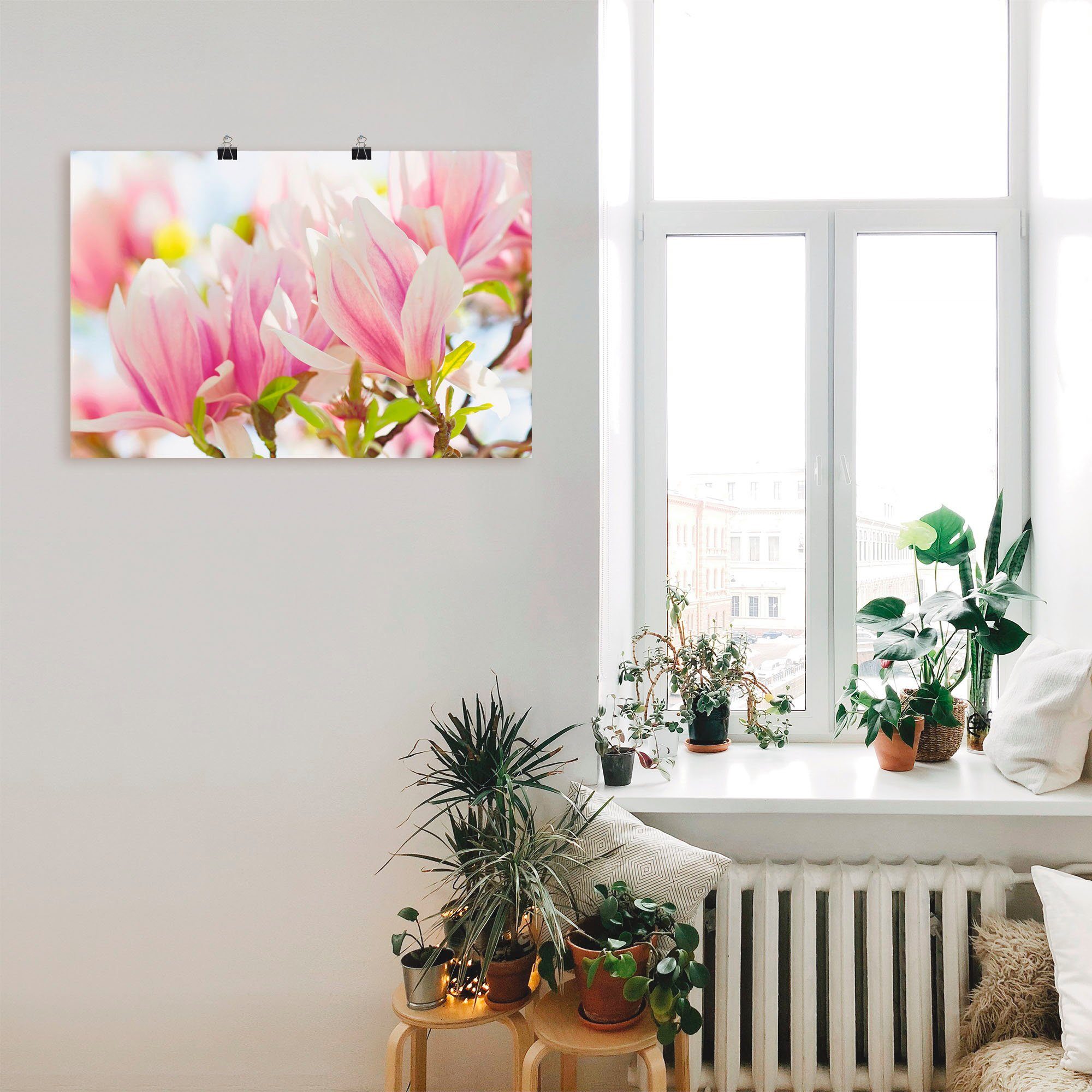 (1 Artland versch. Leuchtende oder in Wandaufkleber Alubild, als Poster Blumen Größen St), Magnolien, Leinwandbild, Wandbild