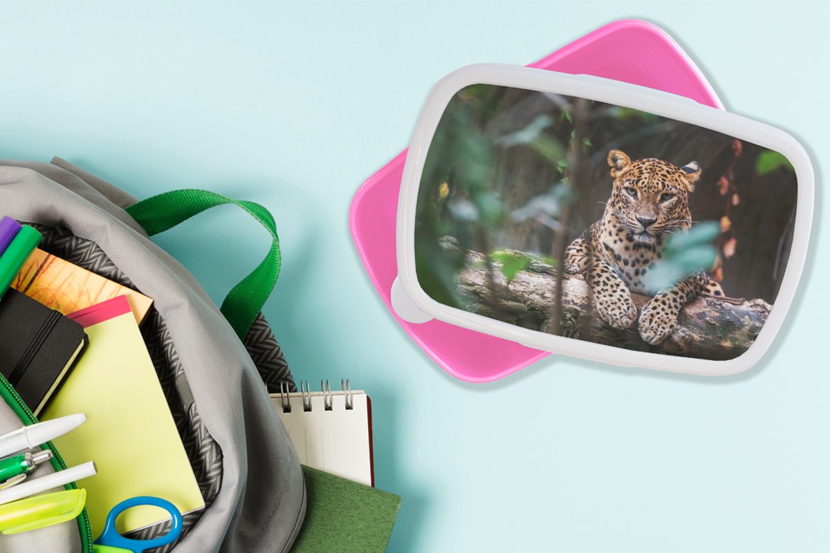 Panther rosa MuchoWow Kunststoff, Lunchbox Dschungel Mädchen, - Tiere, Brotbox für Snackbox, (2-tlg), Brotdose Kinder, Erwachsene, Kunststoff -