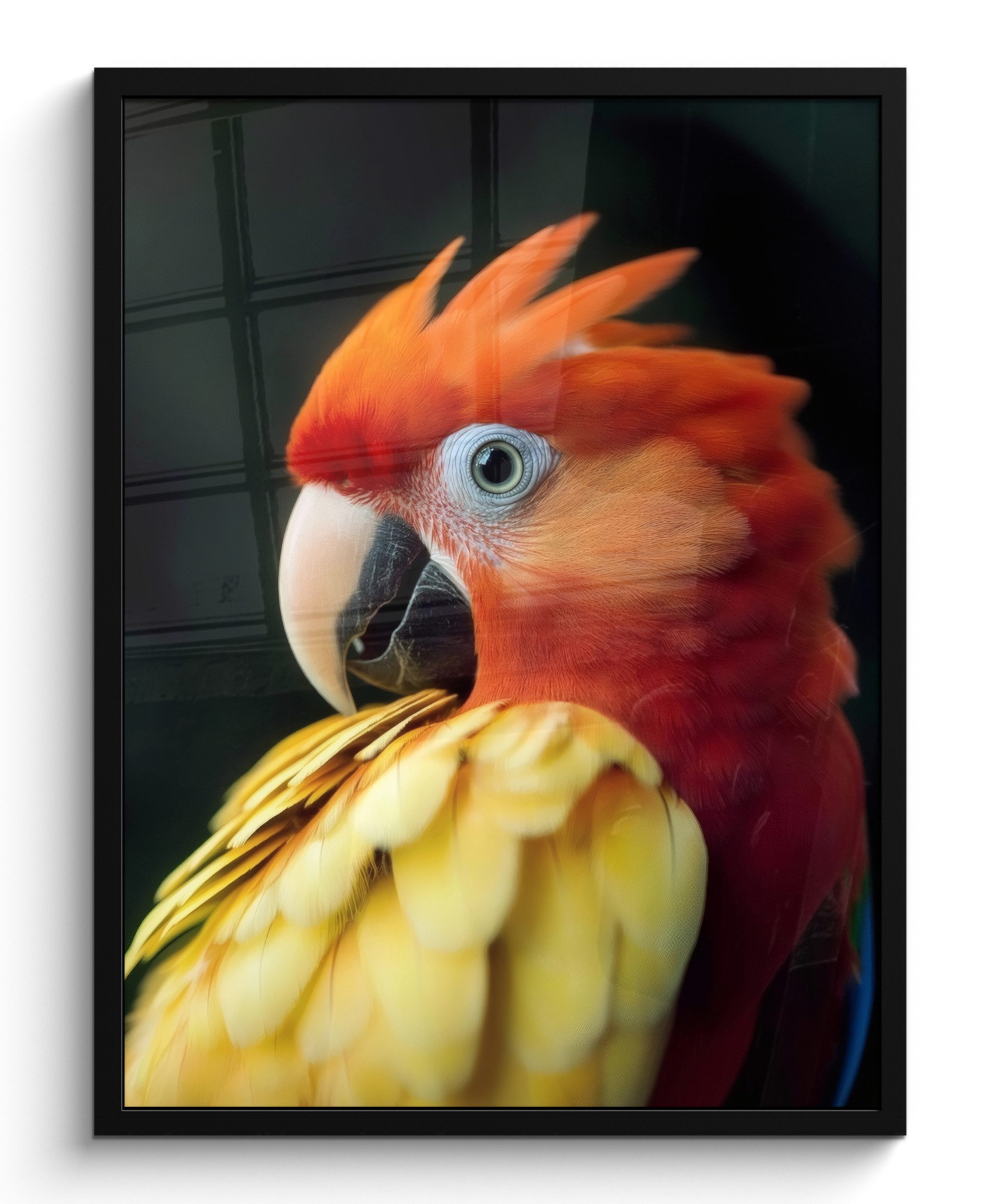 MuchoWow Poster Nahaufnahme - Papagei - Federn - Orange, (1 St), Bilderrahmen, Poster mit Rahmen, Wohnzimmer Deko, 50x70 cm