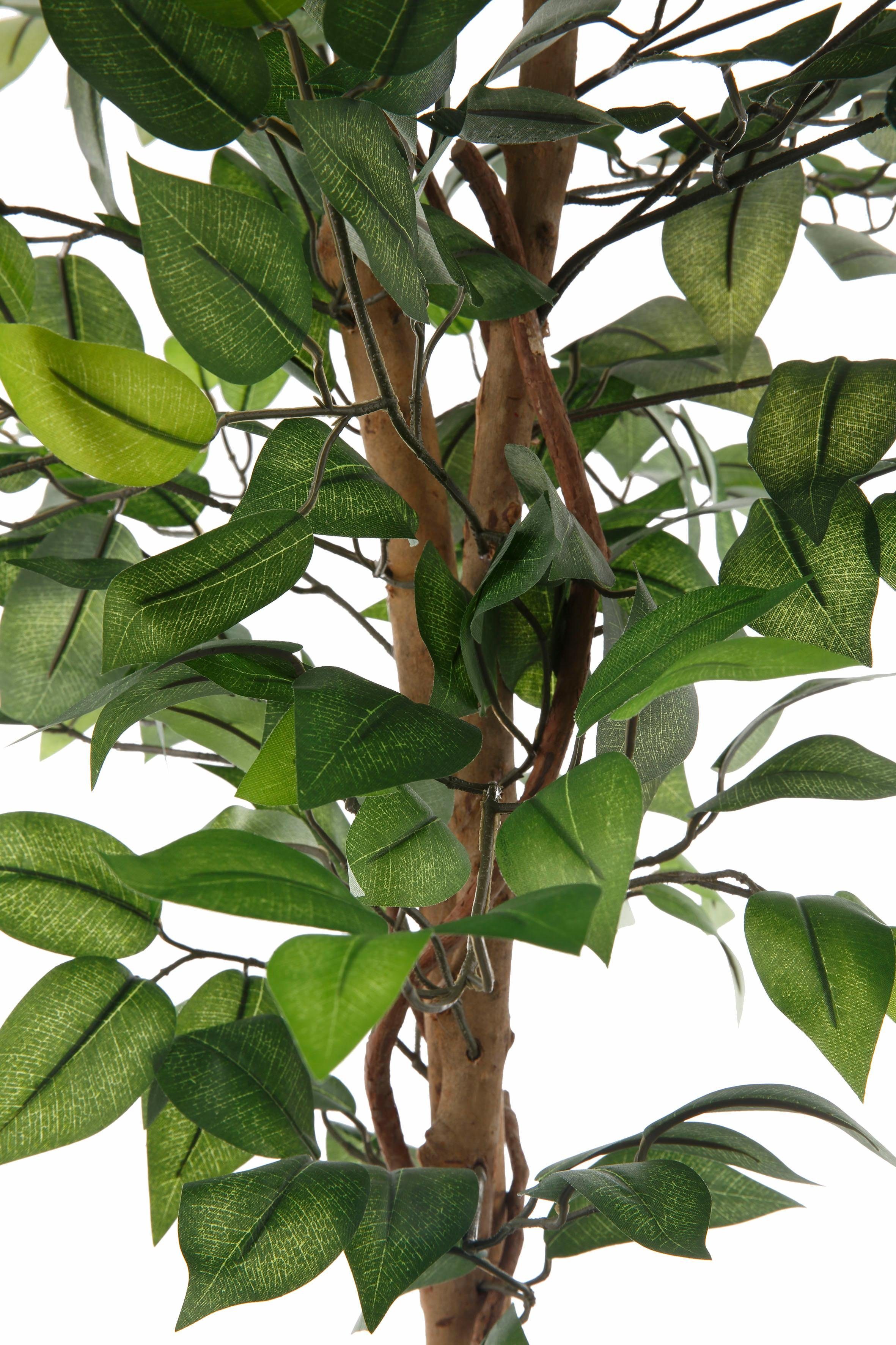 Creativ cm green, Benjamini Ficus Ficus Höhe 120 Benjamini, Kunstpflanze