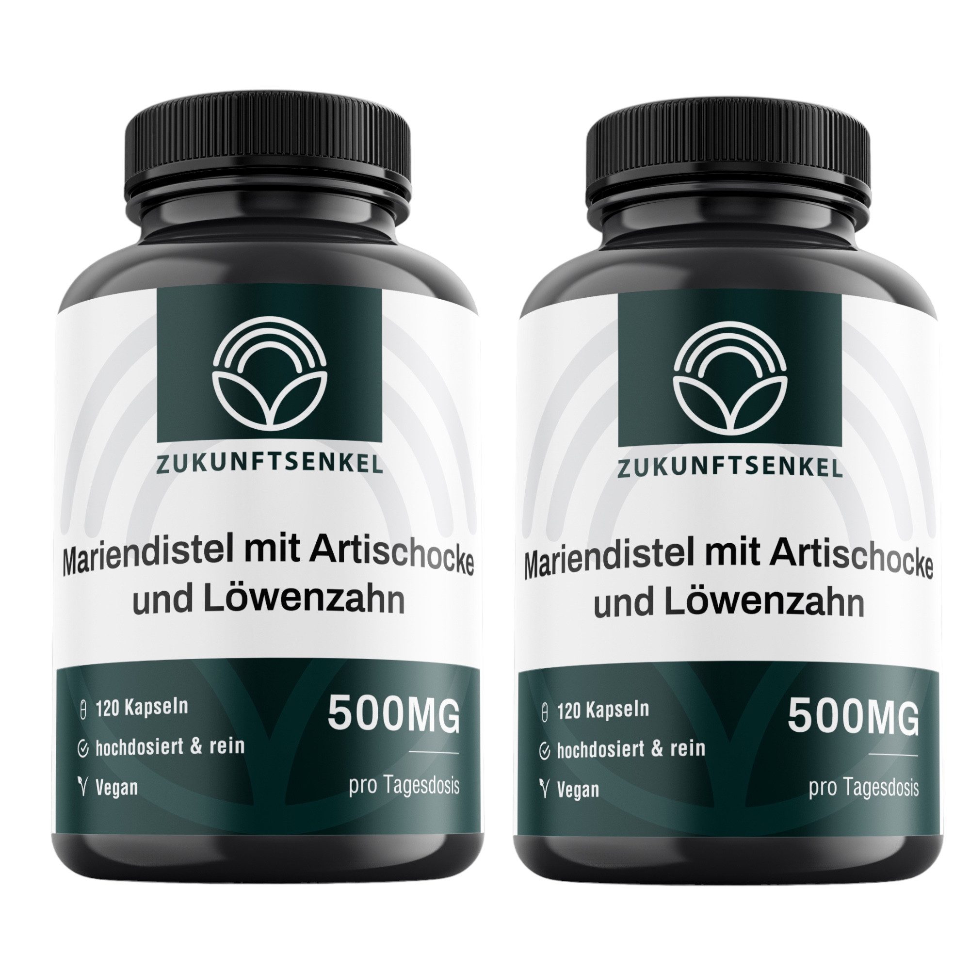 Mariendistel Komplex mit Artischocke und Löwenzahn Kapseln