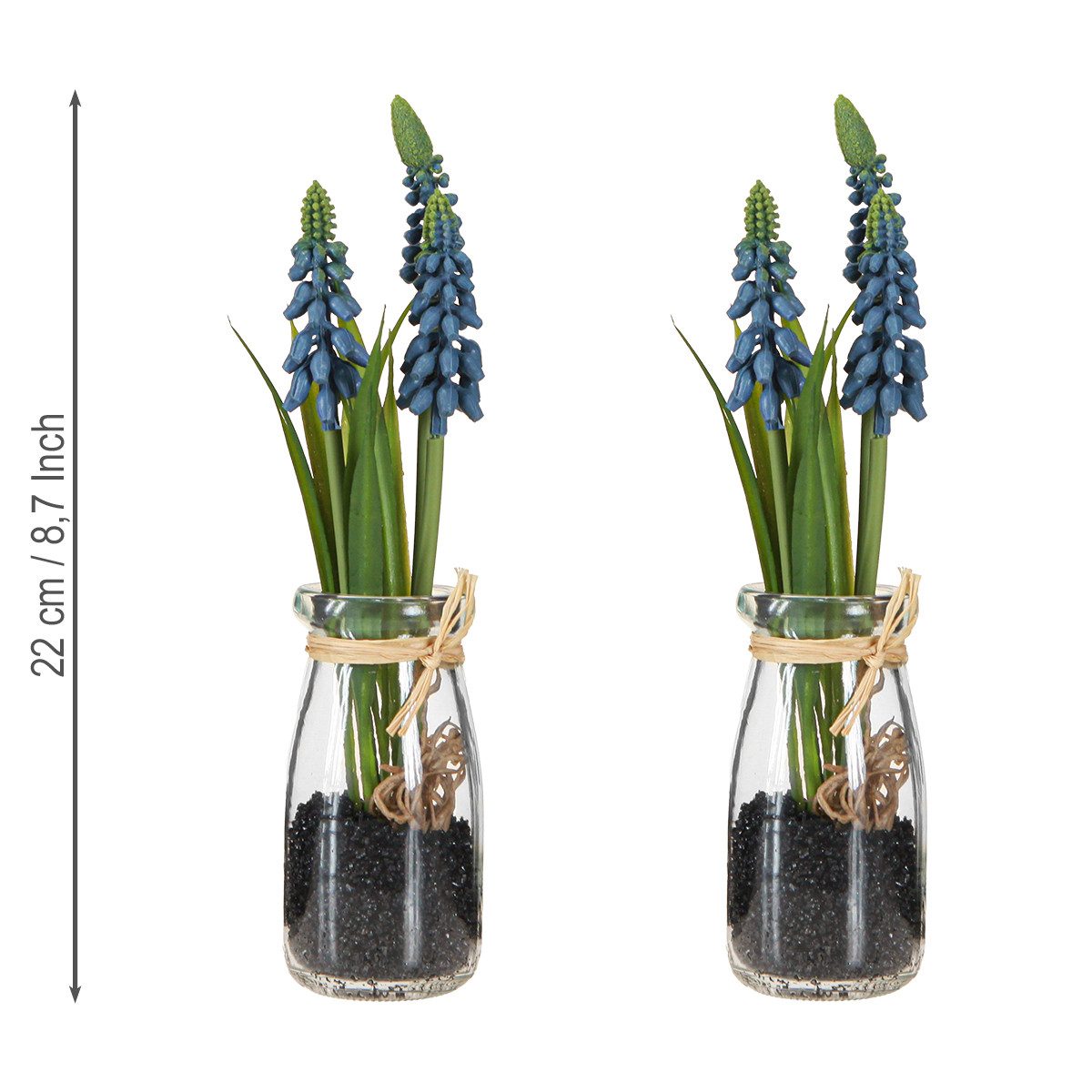 Kunstblume Hyazinthe Künstlich Traubenhyazinthe Blau im Glas Deko 22cm 2St, Posiwio, Höhe 22 cm