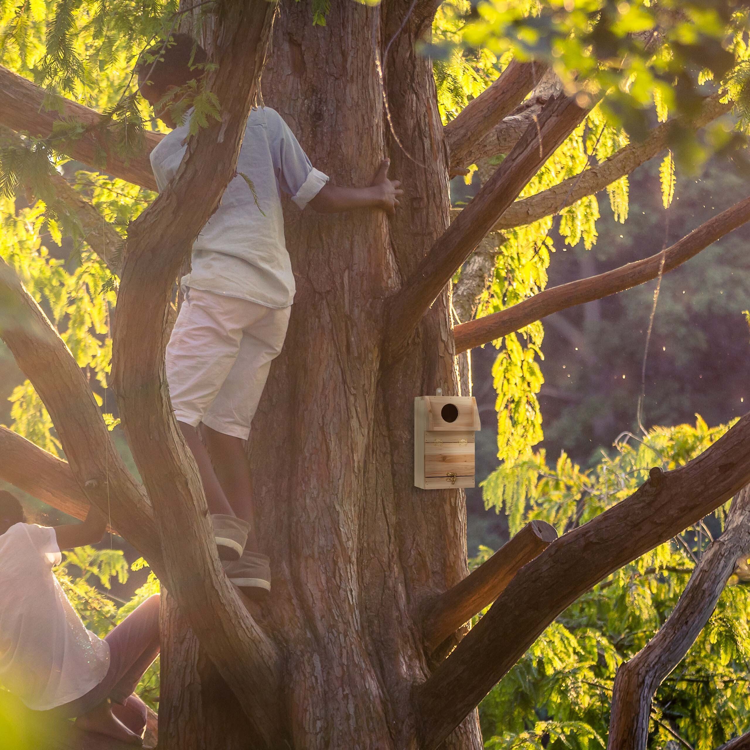 relaxdays Vogelhaus Nistkasten mit Reinigungsklappe