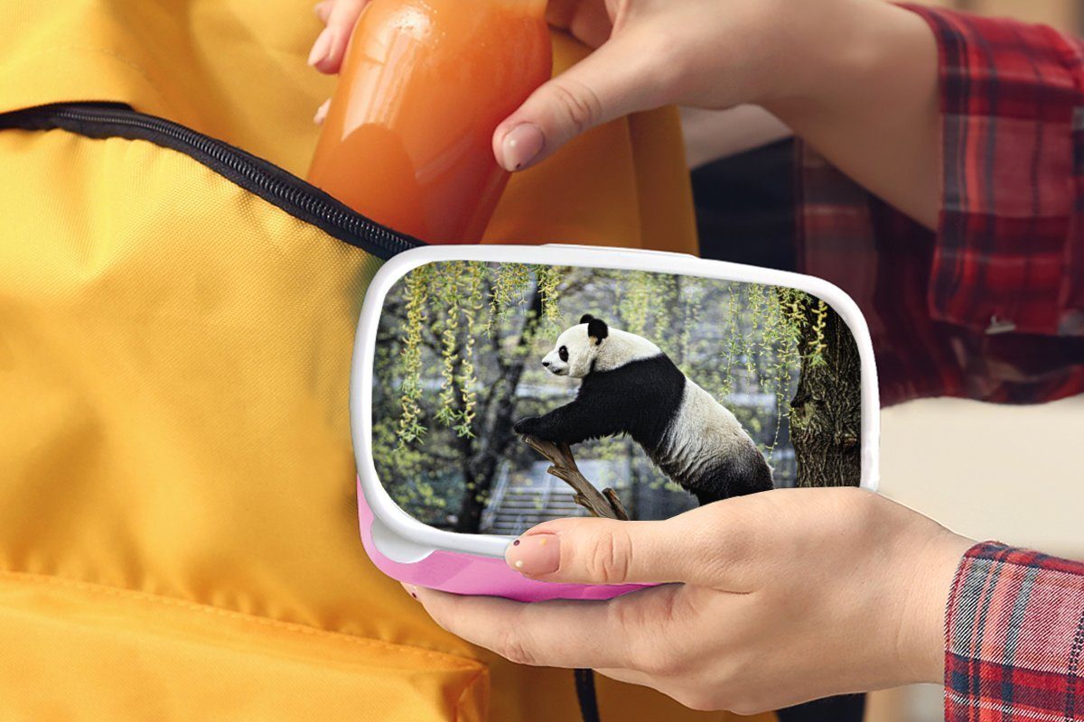 - Panda rosa MuchoWow Baum, Erwachsene, Fluss Snackbox, Brotbox Kunststoff Kinder, Lunchbox Mädchen, Brotdose (2-tlg), Kunststoff, für -