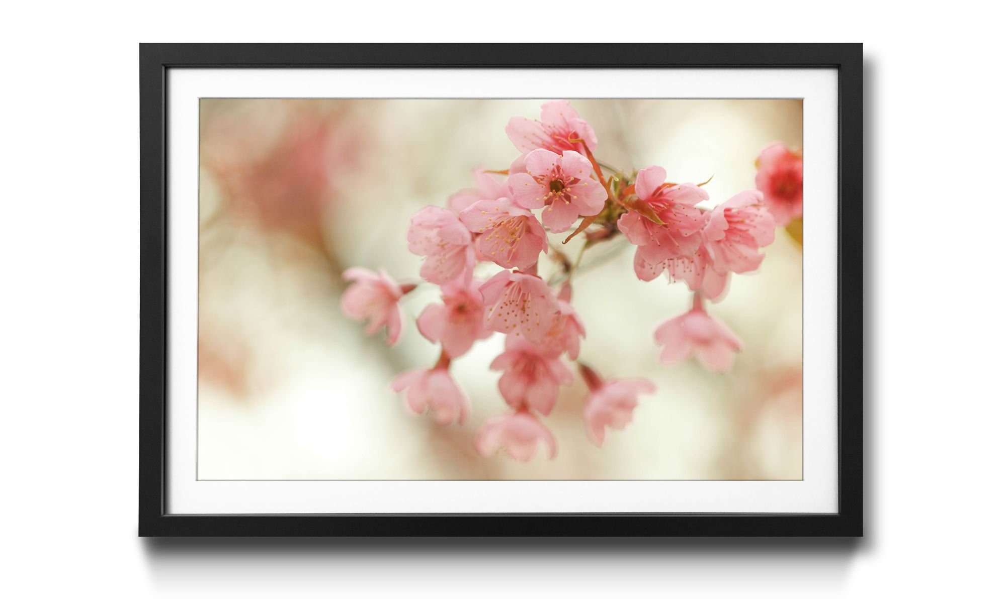 WandbilderXXL Bild mit Rahmen Cherry erhältlich in Größen 4 Blumen, Wandbild, Blossoms