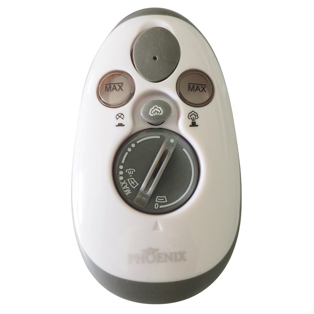 Phönix Dampfbügeleisen Phönix Reise-Dampfbügeleisen