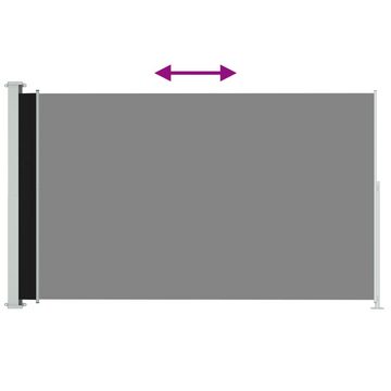 DOTMALL Seitenmarkise Seitenmarkise Ausziehbar 220x300 cm Schwarz