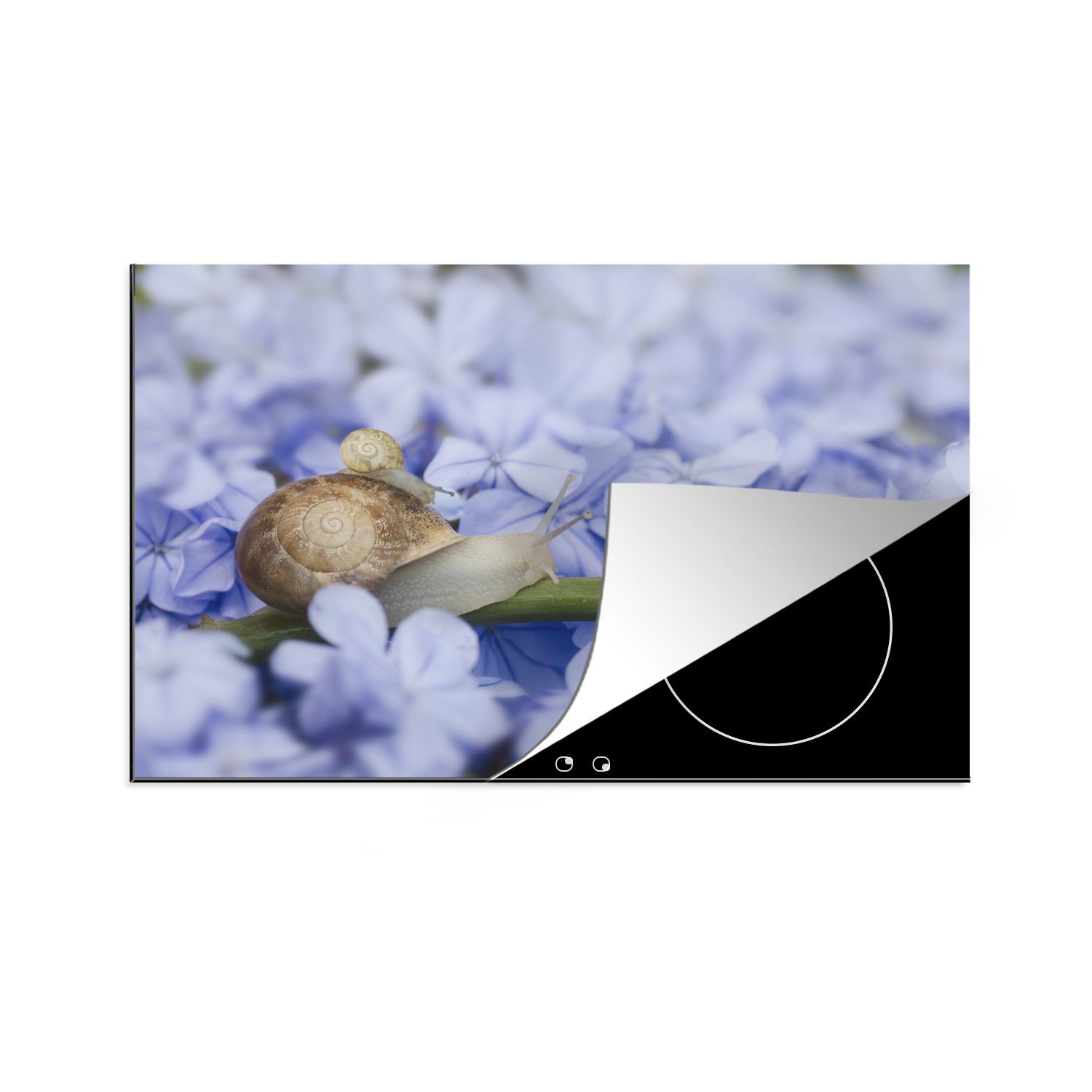 Herdblende-/Abdeckplatte Blumen Ceranfeldabdeckung (1 Induktionskochfeld tlg), MuchoWow küche, für 81x52 die - Schutz cm, Schnecke Vinyl, - Tiere,