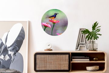 MuchoWow Gemälde Nahaufnahme eines Kolibris auf rosa Blüten, (1 St), Kreis Wanddekoration Forex, Rundes Wandbild, Wohnzimmer, 30x30 cm