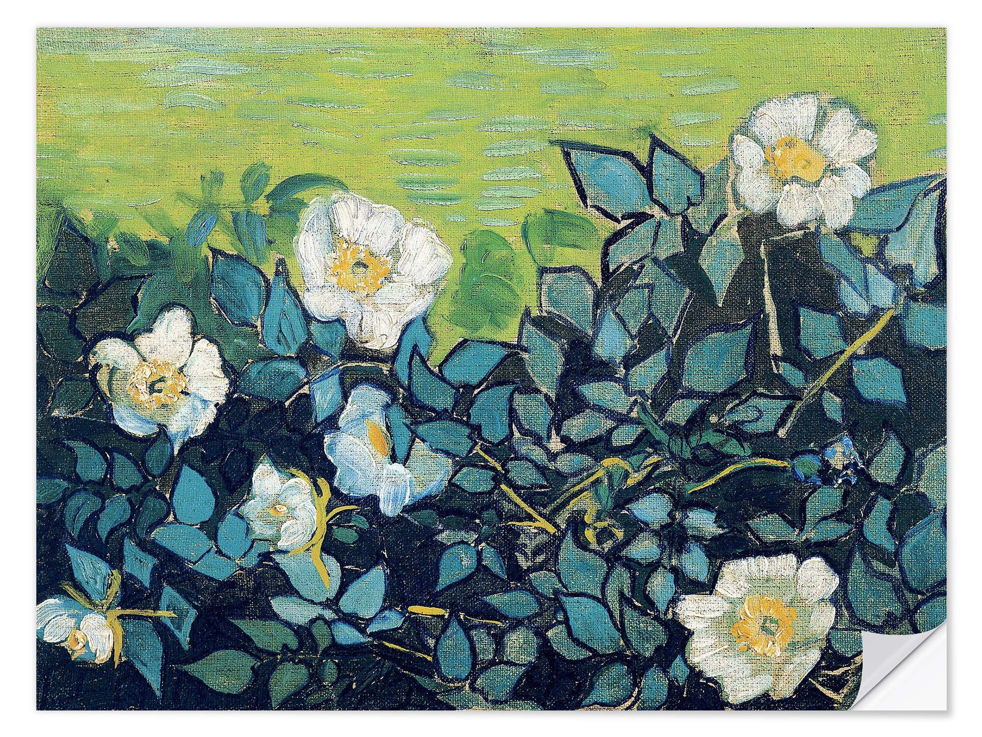 Wandfolie Vincent van Gogh