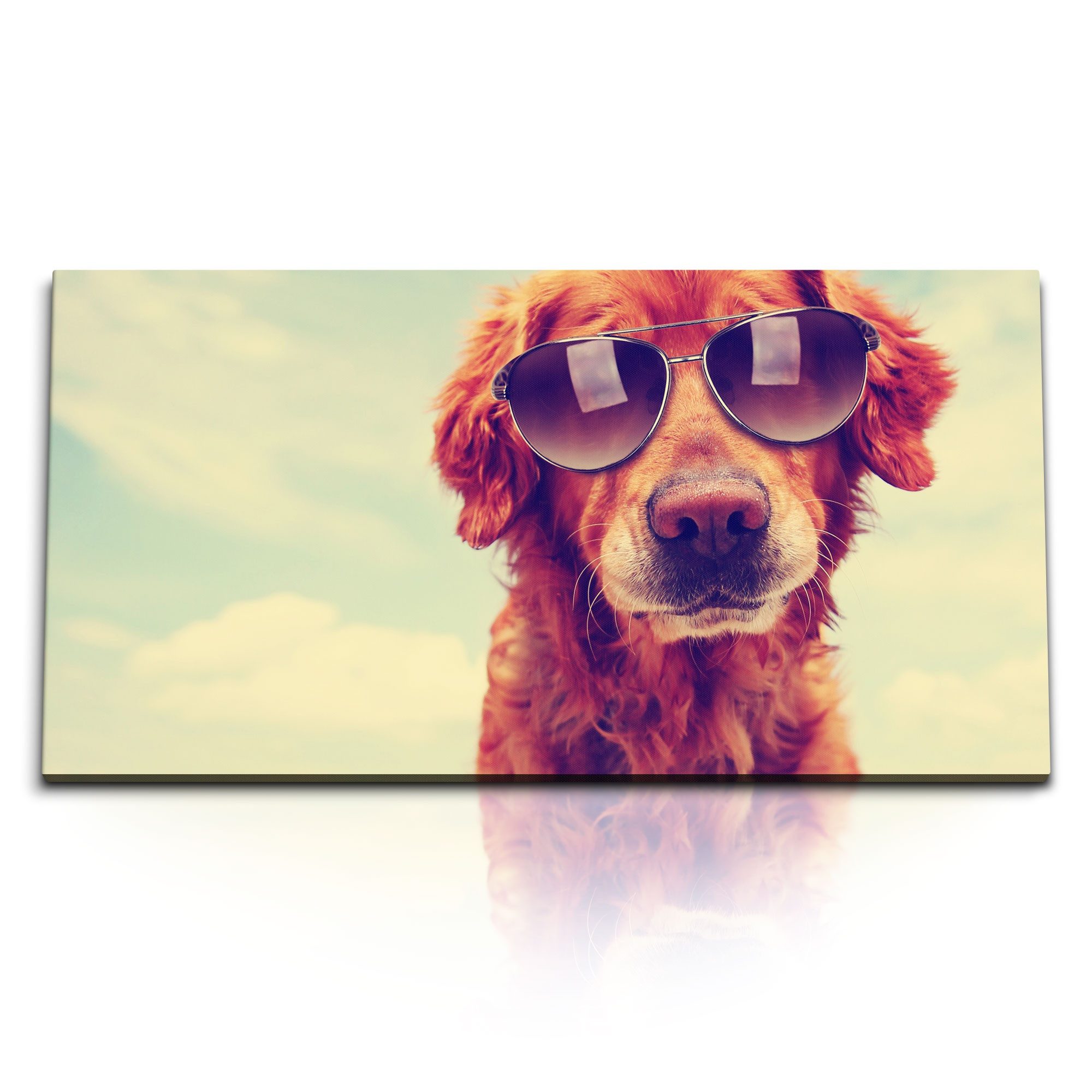 Leinwandbild Kunstdruck Bilder 120x60cm Hund mit Sonnenbrille Tierfotografie Sommer