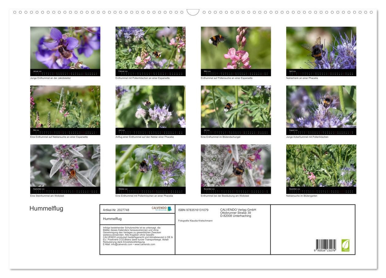 Thumbnail - CALVENDO Wandkalender Hummelflug (Wandkalender 2026 DIN A2 quer), CALVENDO Monatskalender