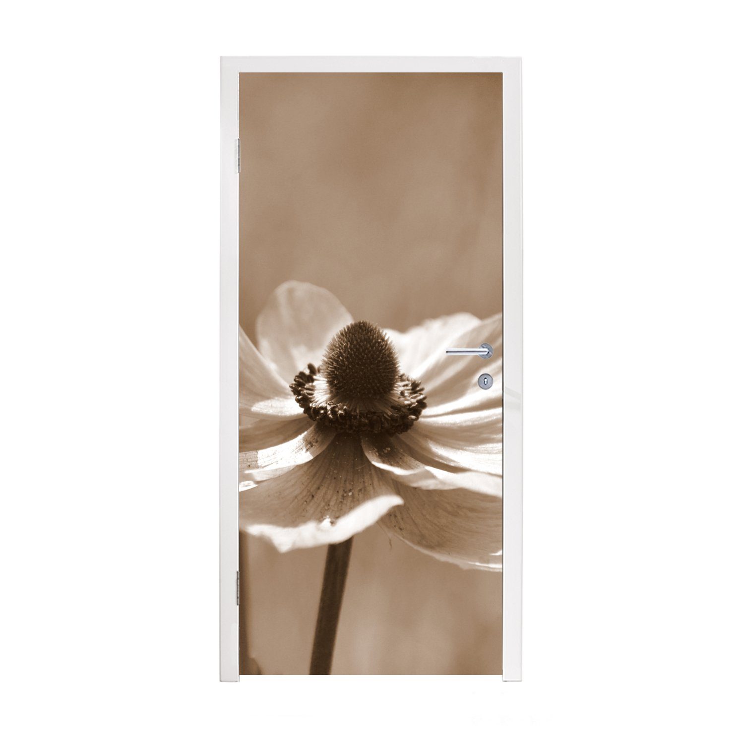 MuchoWow Türtapete Blume der Anemone Sepia-Fotodruck, Matt, bedruckt, (1 St), Fototapete für Tür, Türaufkleber, 75x205 cm