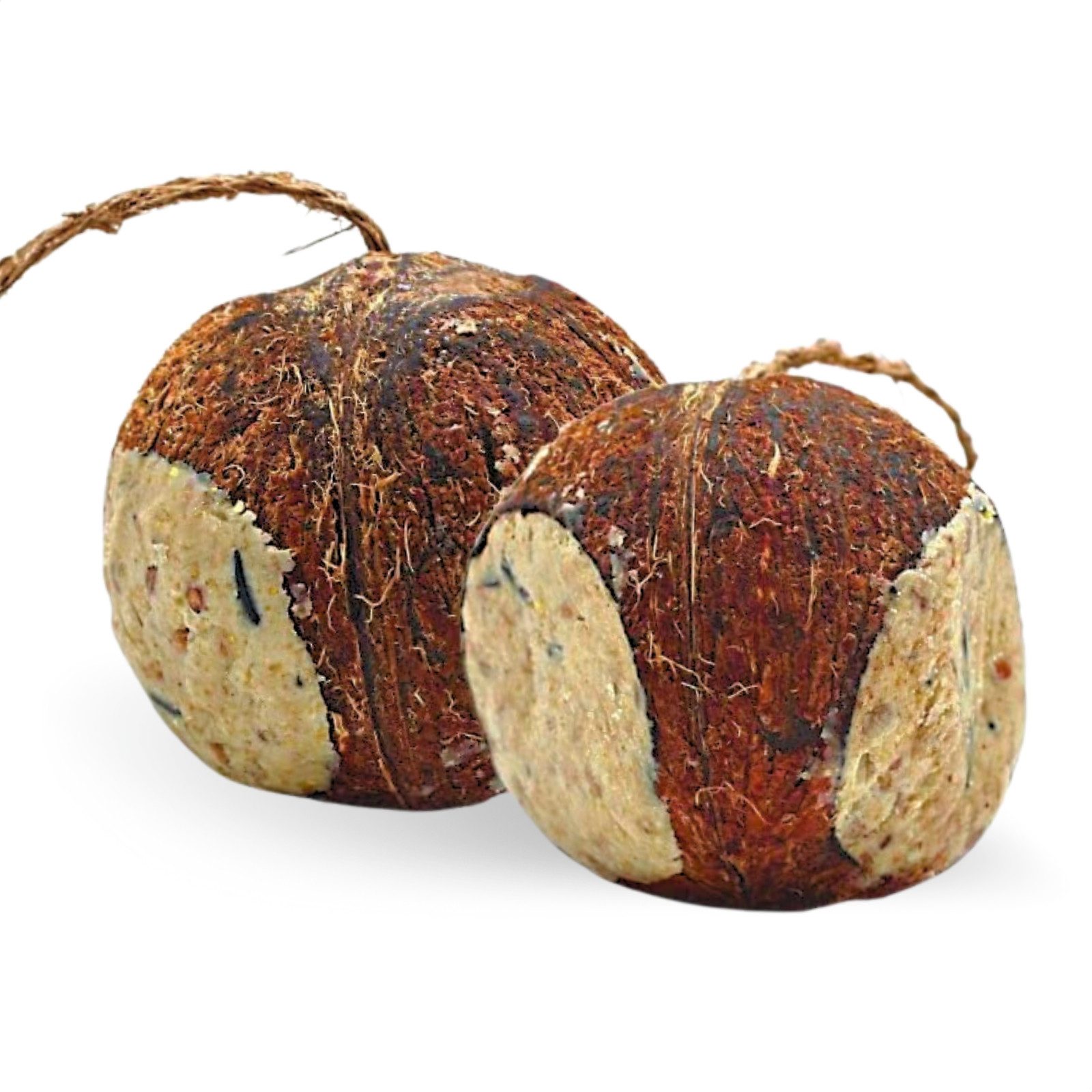 Lyra Pet 4 Stk. Lyra Pet® Gefüllte Kokosnuss mit Löchern, für: Wildvogel