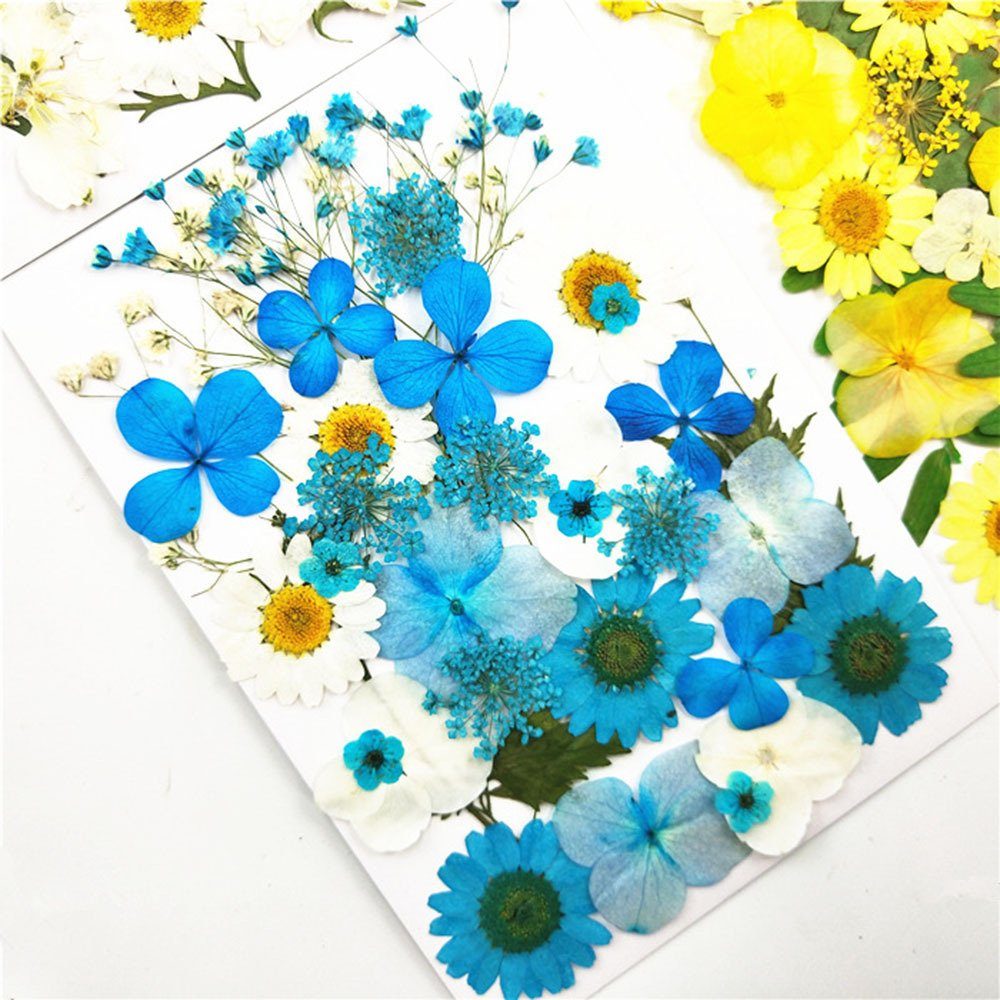 Trockenblume DIY Trockenblumen-Material-Set, blossomsJ Blusmart, Modische Gepresste Trockenblume Pflanzen, Blumen