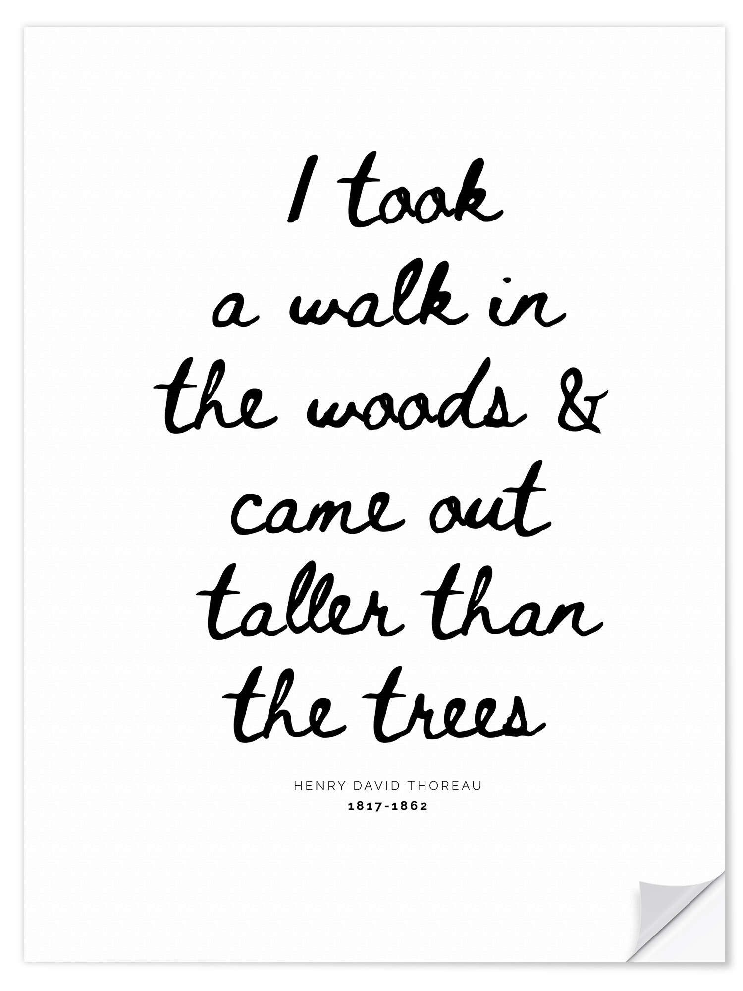 Posterlounge Wandfolie Typobox, I took a walk in the woods - Thoreau quote, Wohnzimmer
