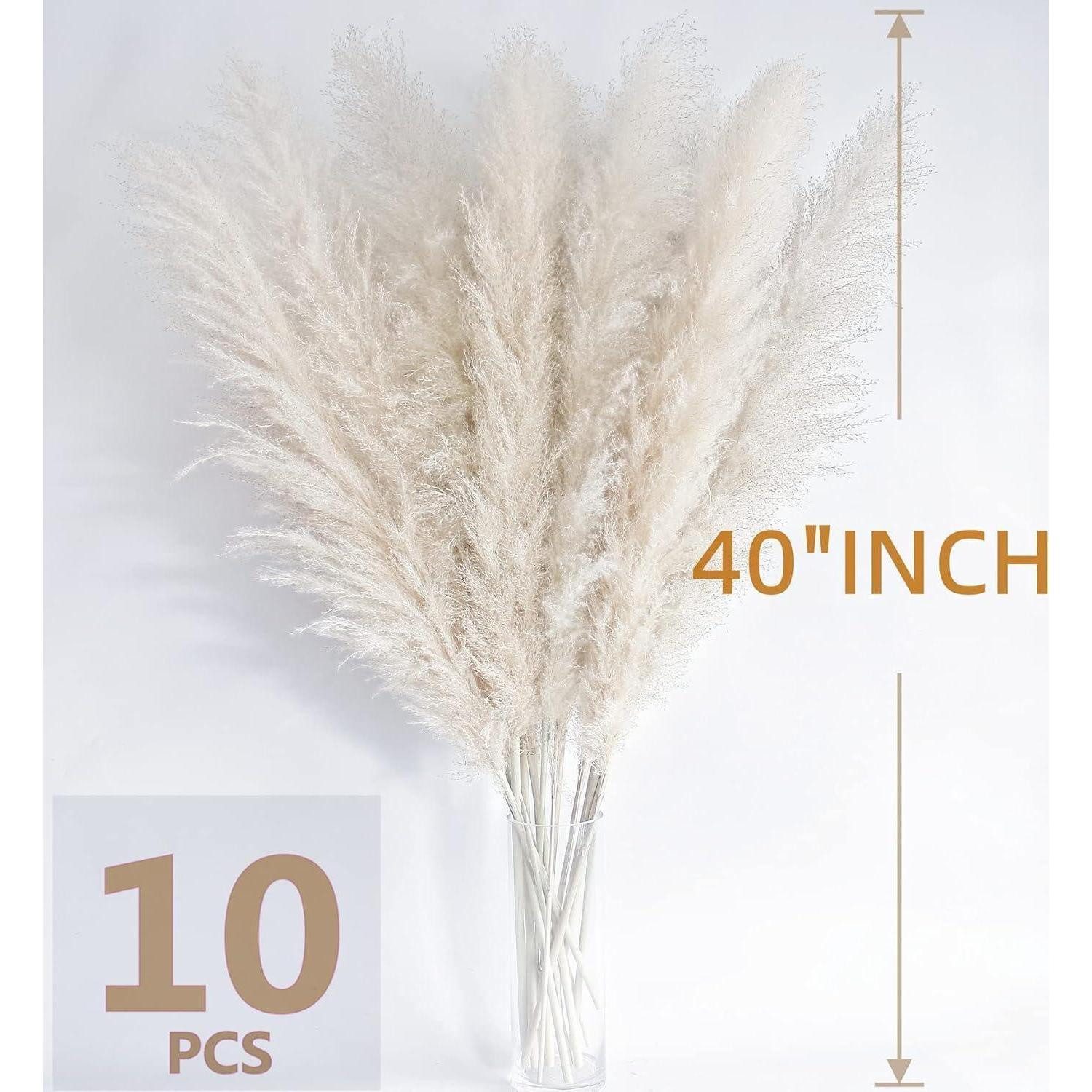 Trockenblume Pampasgras White 115cm 10 Stück Boho Deko Wohnzimmer 120cm-10PCS-B, LuxusKollektion