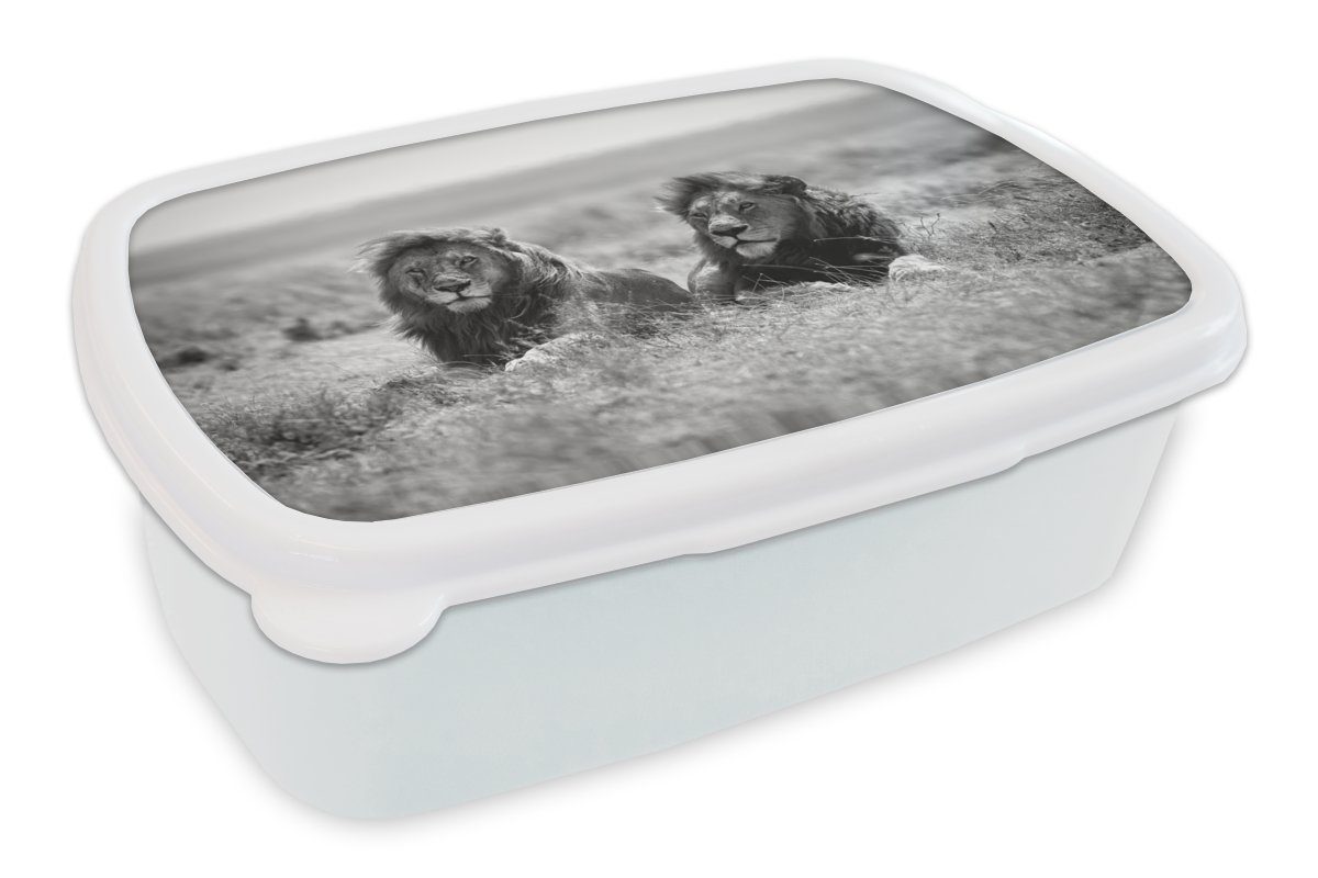 MuchoWow Lunchbox Löwen - Tiere - Savanne - Schwarz und weiß, Kunststoff, (2-tlg), Brotbox für Kinder und Erwachsene, Brotdose, für Jungs und Mädchen