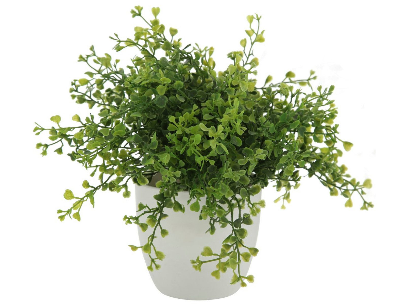 Kunstpflanze Topfpflanze Gras mehrfarbig sort. 25cm günstig online kaufen
