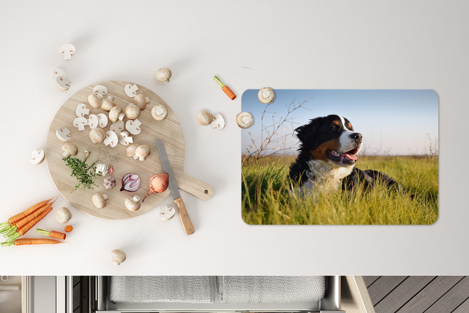 Platzset, Sennenhund im MuchoWow, Berner Platzmatte, Tischmatten, liegend, (6-St), Gras Schmutzabweisend Platzdecken, Platzset,