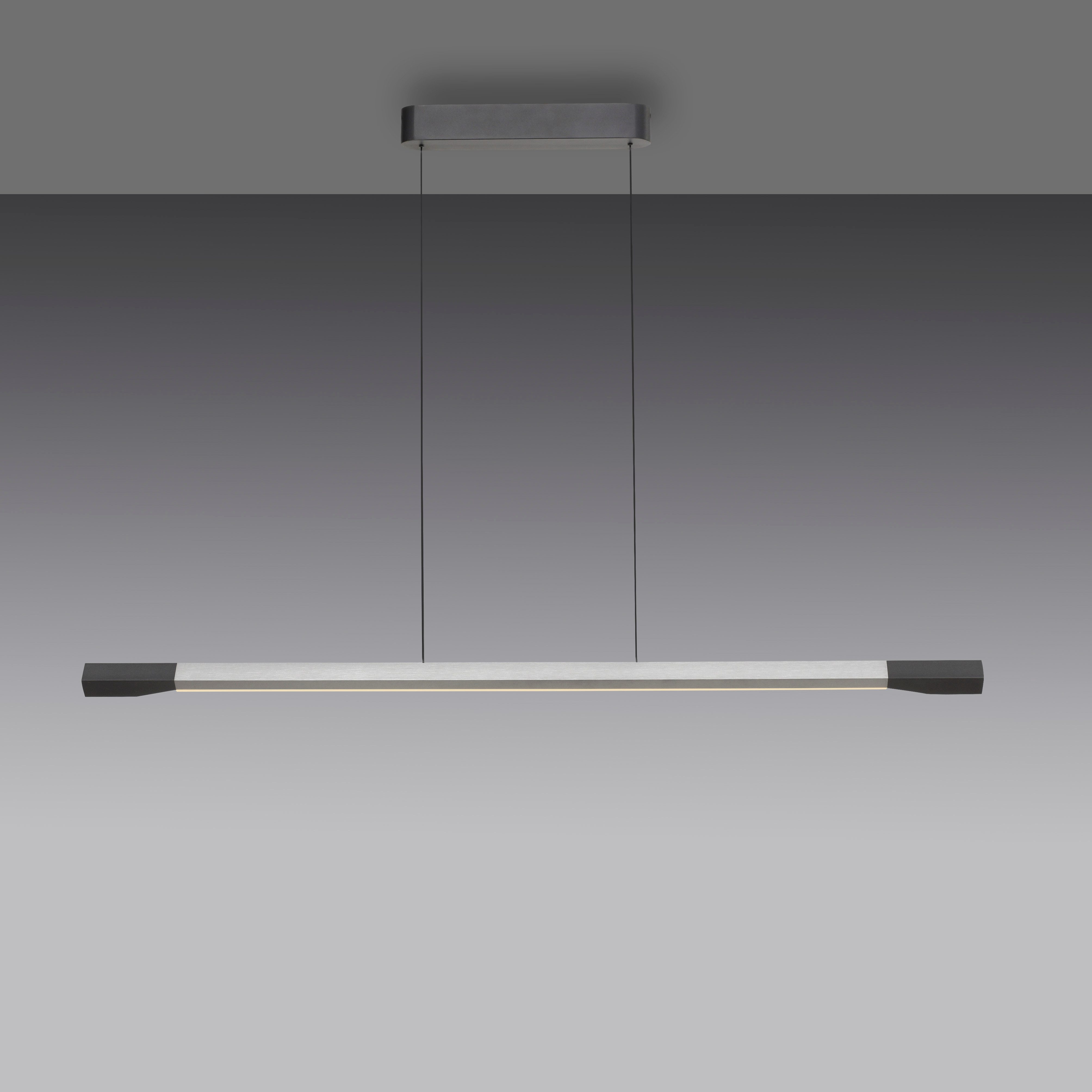 Paul Neuhaus Pendelleuchte HOOP, Dimmfunktion, LED fest integriert, Warmweiß, LED, dimmbar, Simply Dim, Memory, nach Trennung vom Netz, Comfort Lift