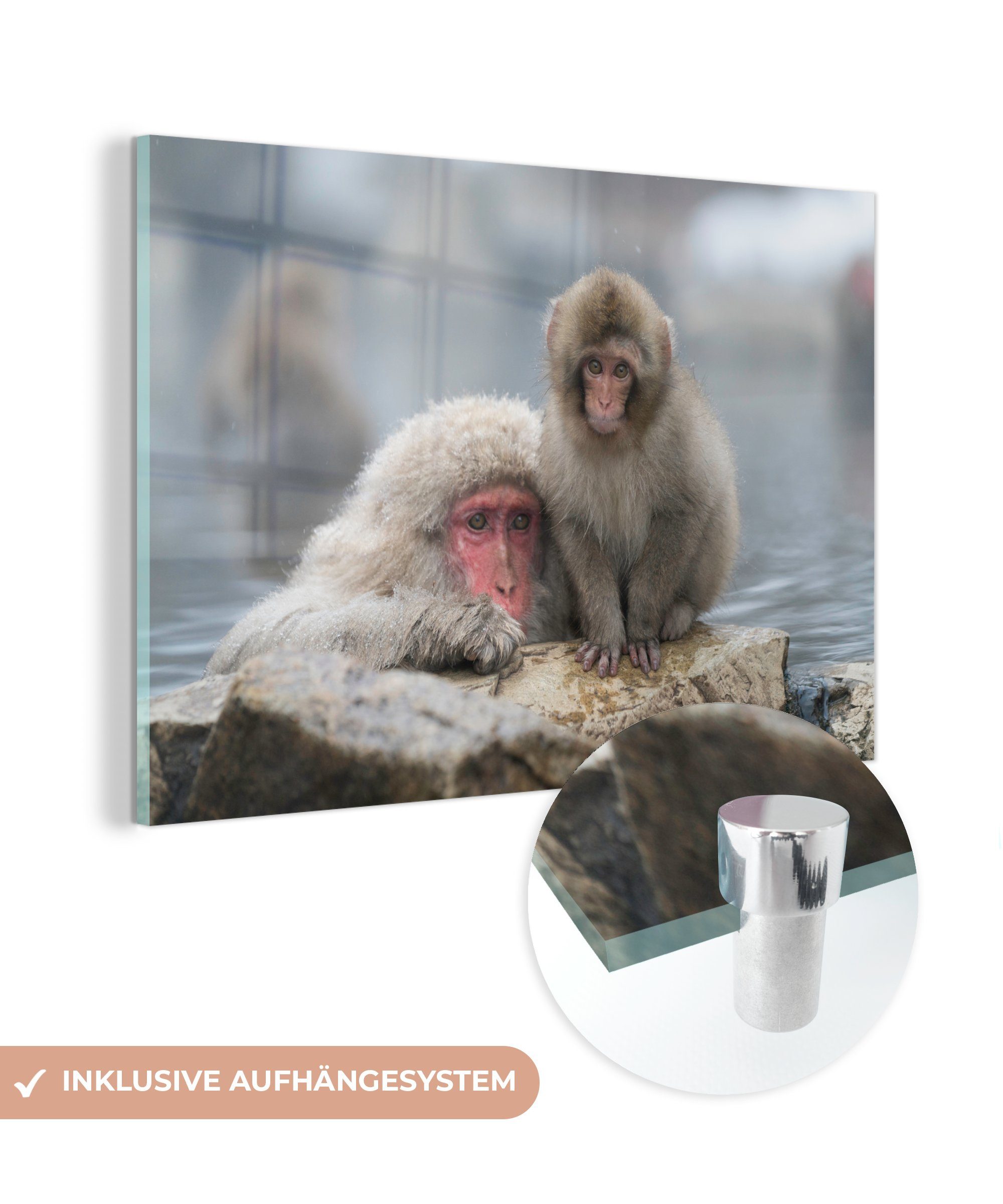 MuchoWow Acrylglasbild Affen - Japan - Wasser, (1 St), Acrylglasbilder Wohnzimmer & Schlafzimmer